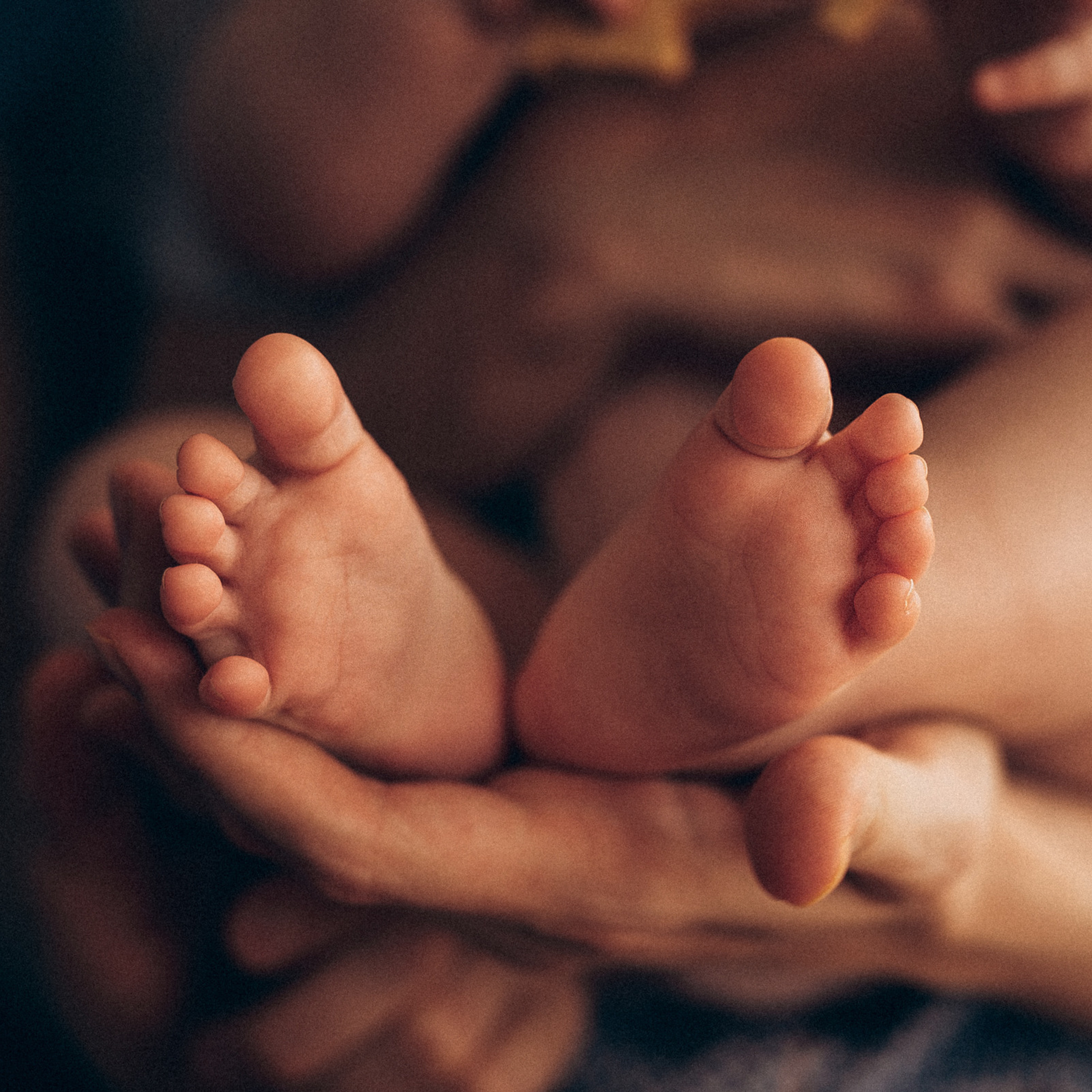 Алена, Паша, София