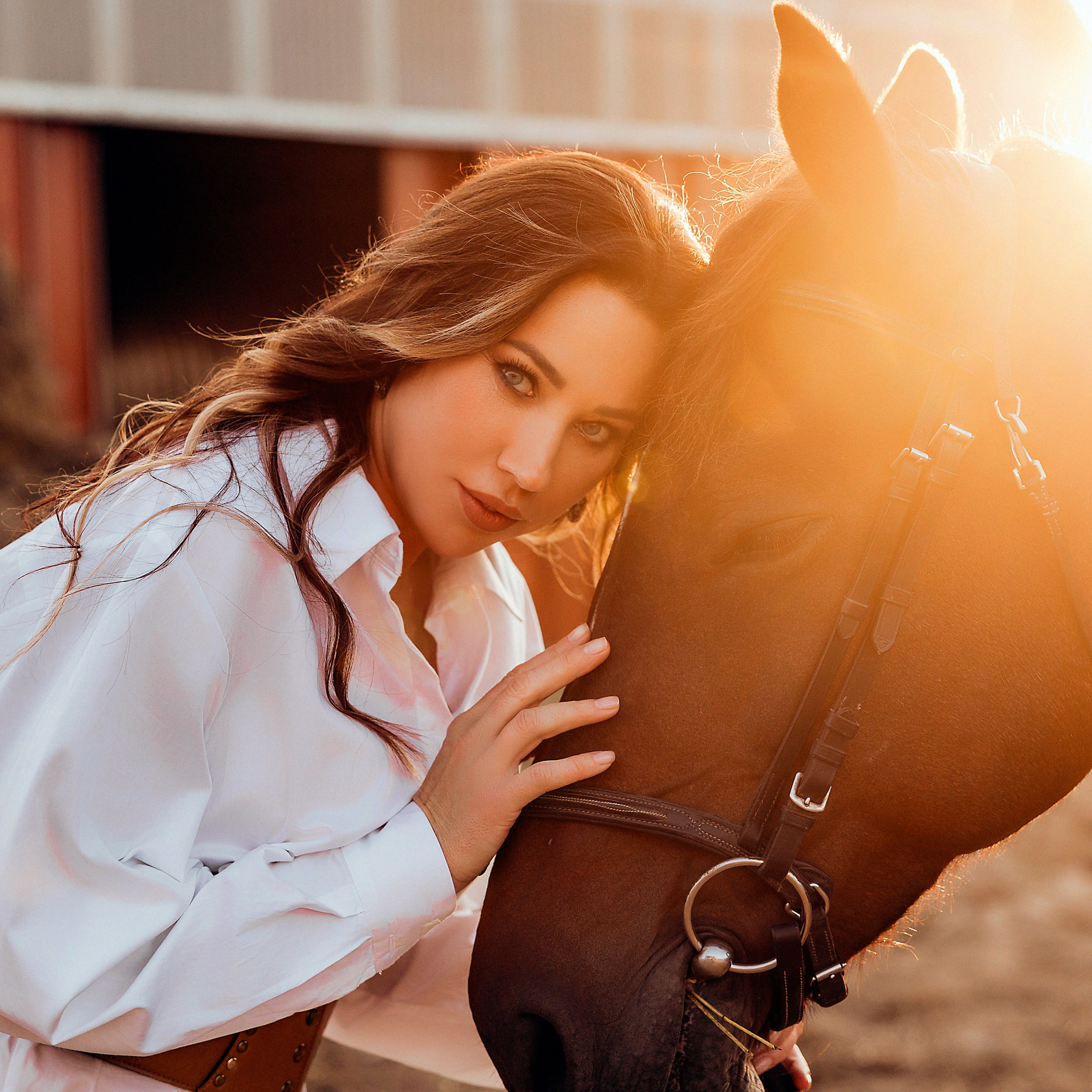 Ирина конюшня Лошадкино