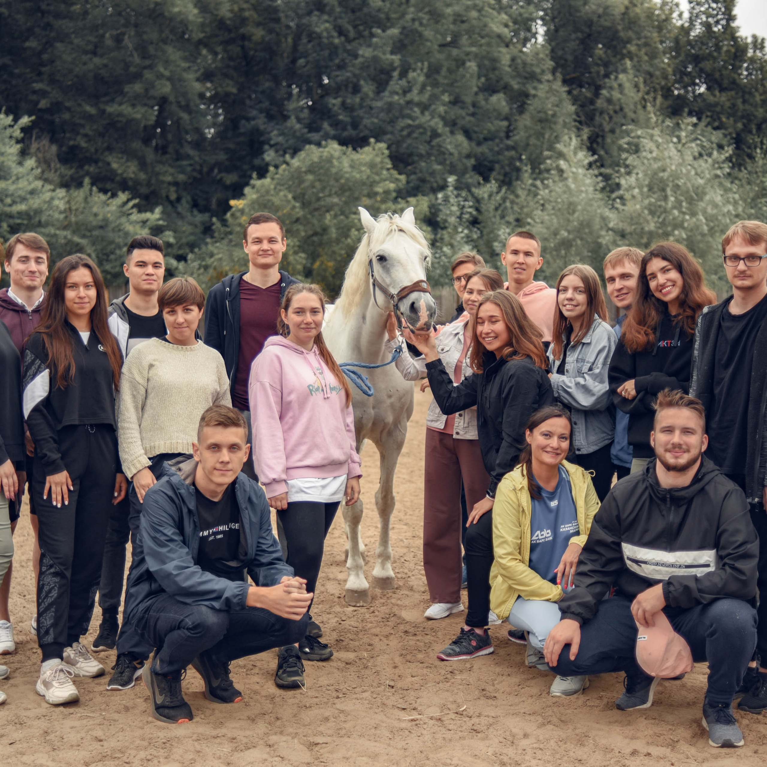 Иппотренинг