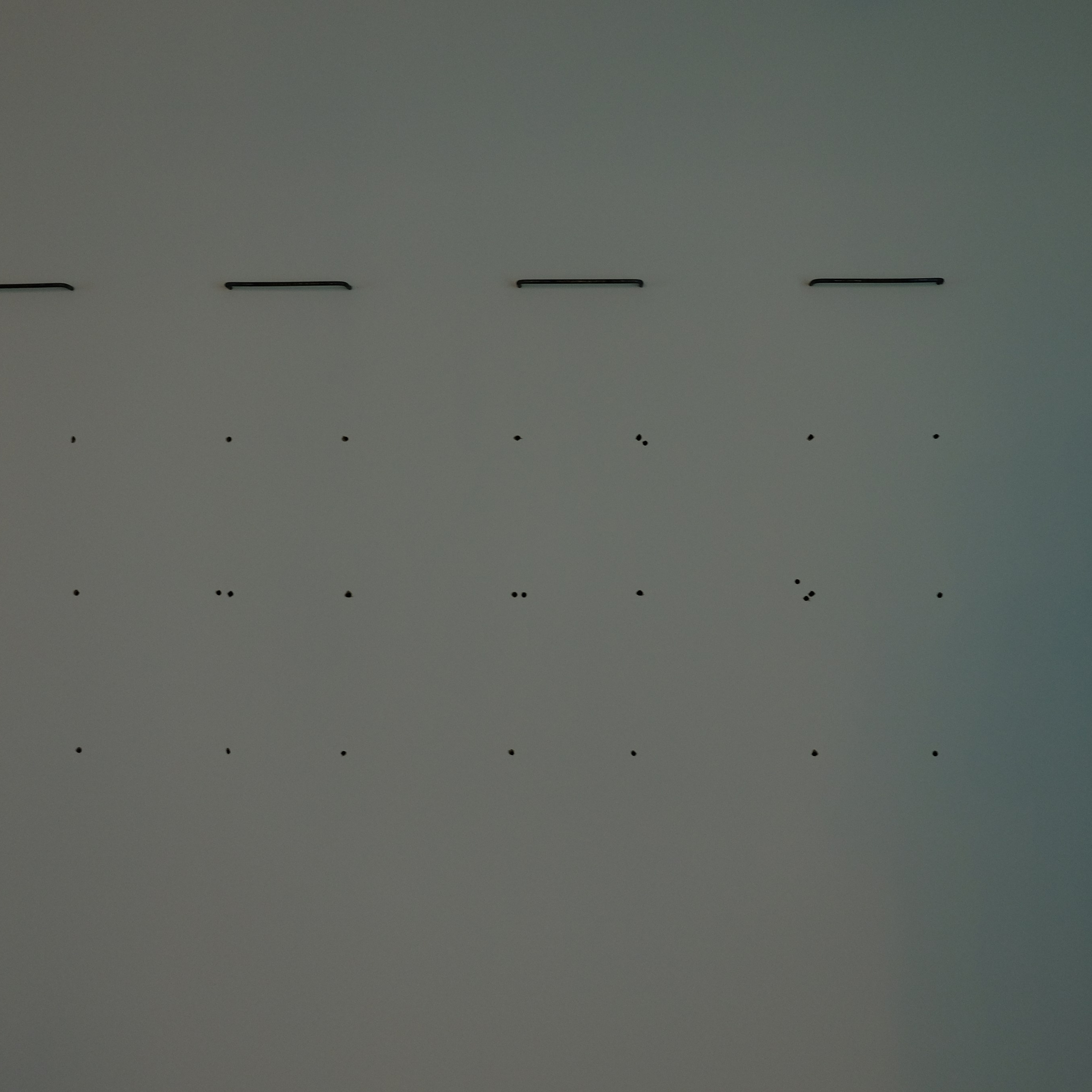 Per aspera as astra. Elena Slobtseva is a visual multidisciplinary artist