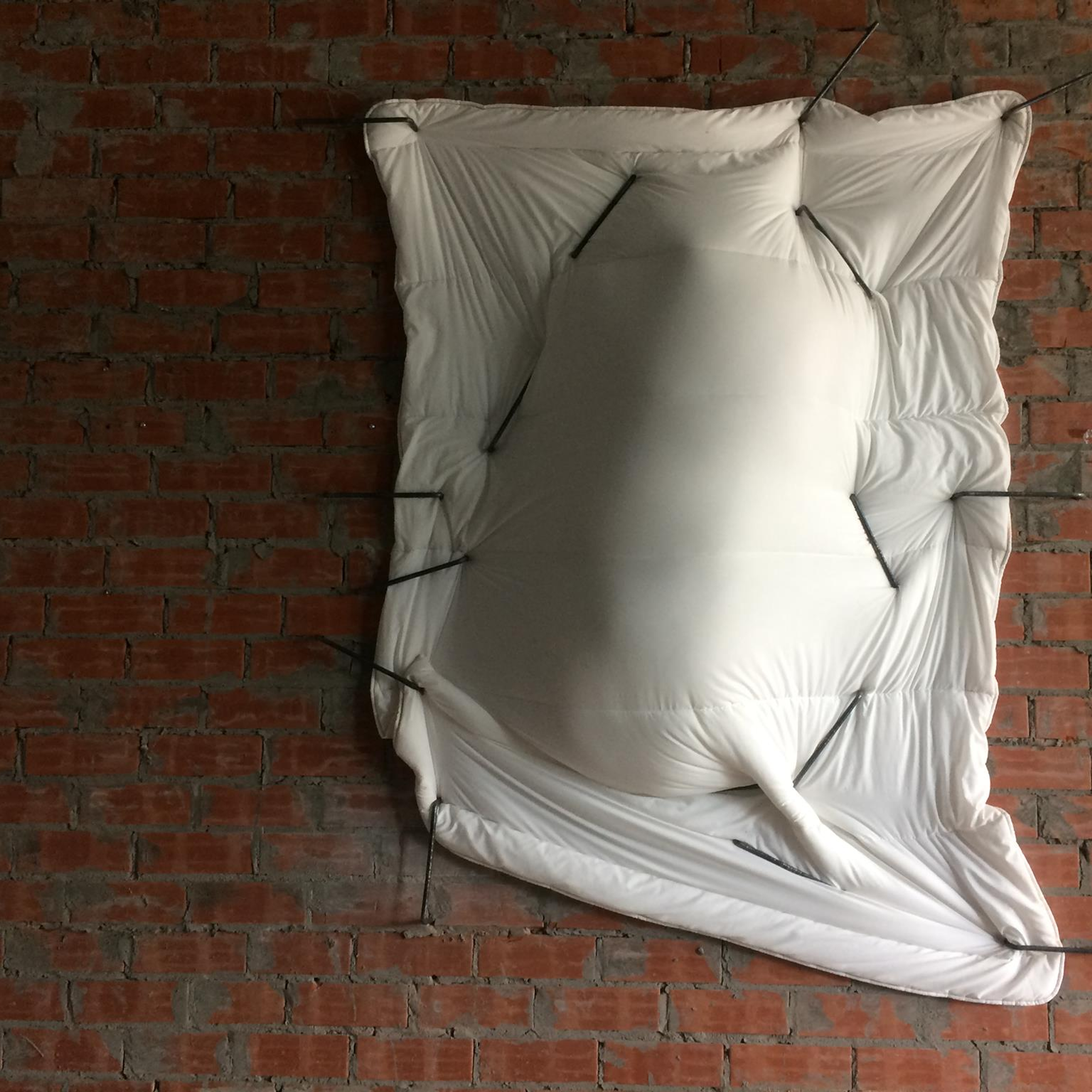 Cocoon. Elena Slobtseva is a visual multidisciplinary artist