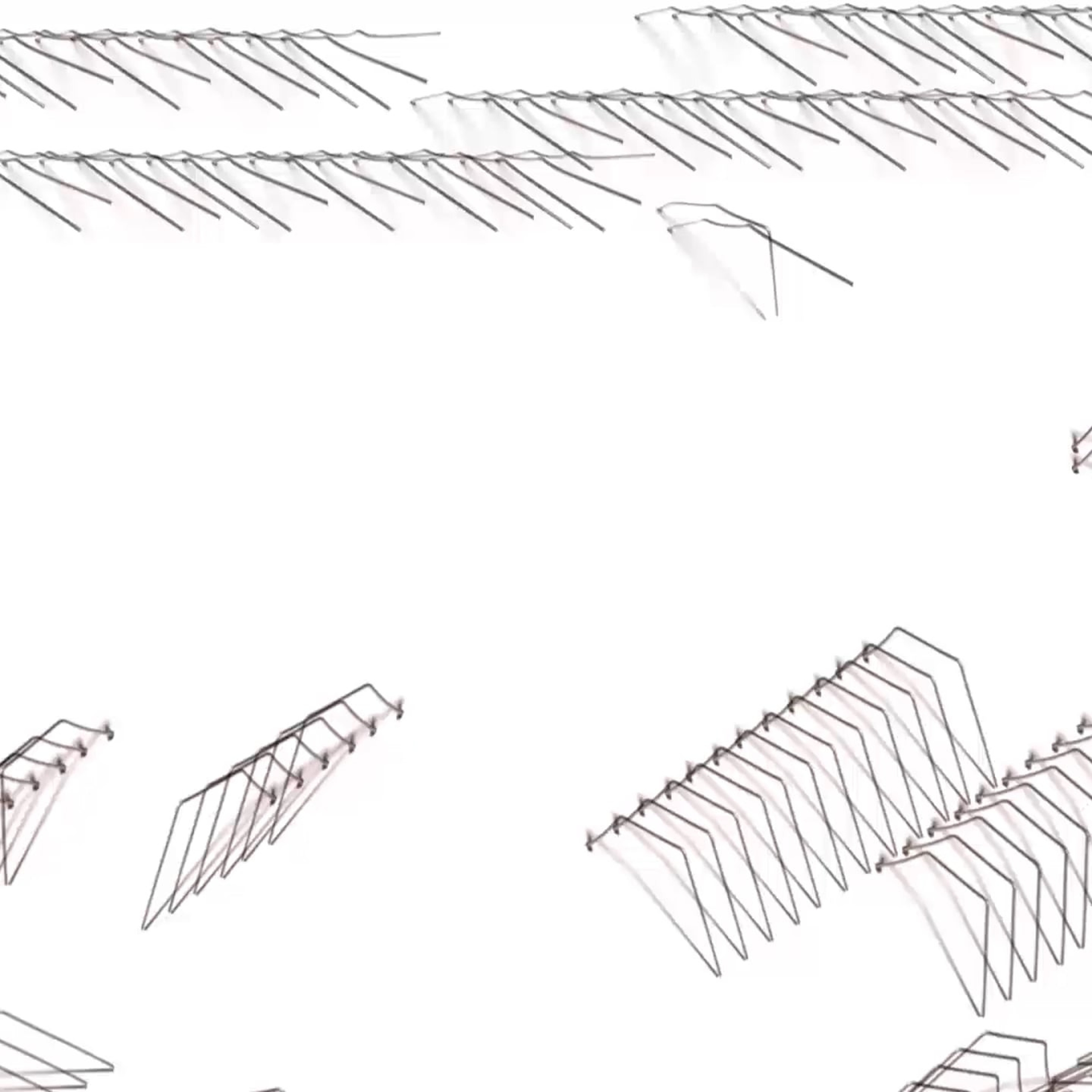 Grass — computer animation. Elena Slobtseva is a visual multidisciplinary artist