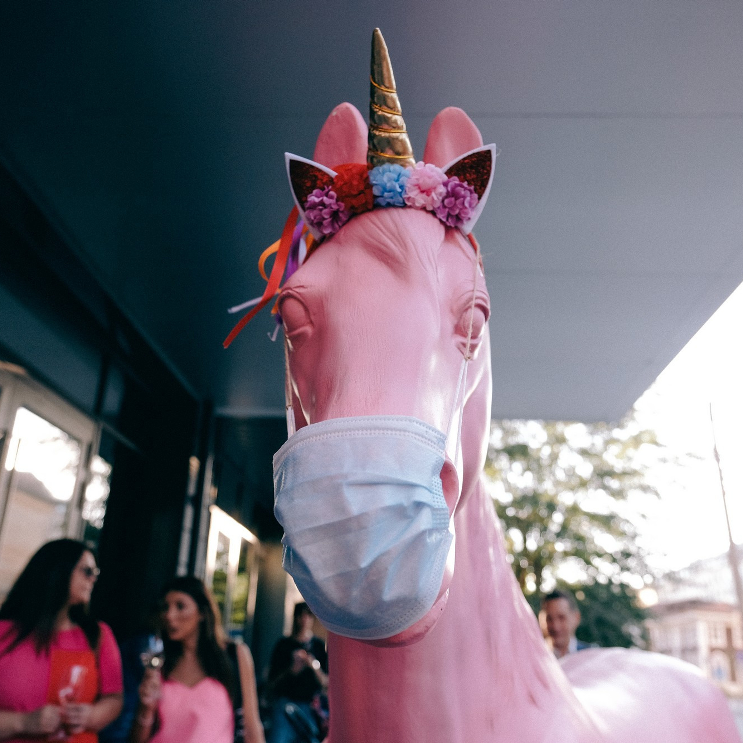 5 лет Pardon my French