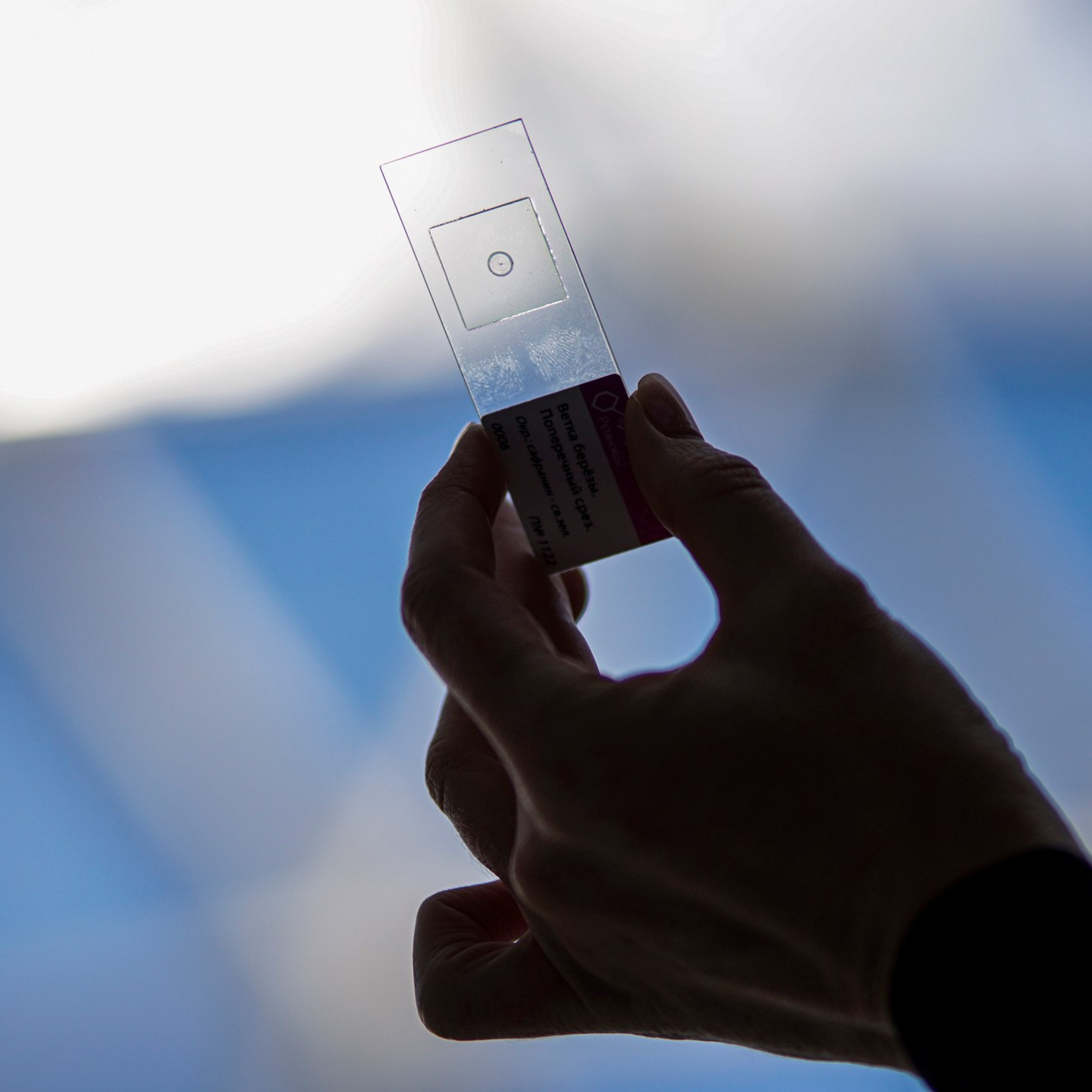 OpenBio | Форум 2024