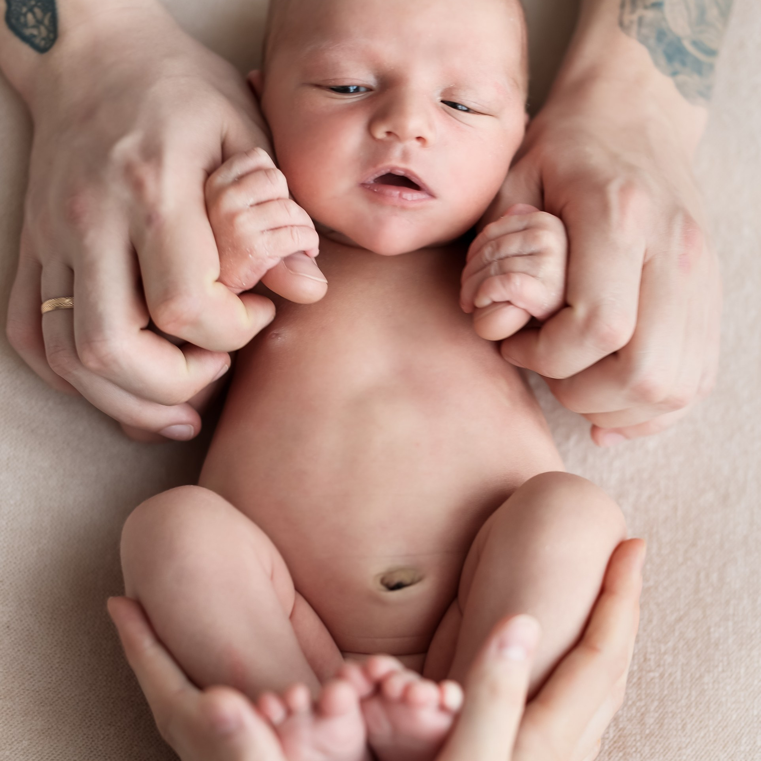 Отзывы. Семейный и детский фотограф Москва Елена Екимова 8926-895-38-86