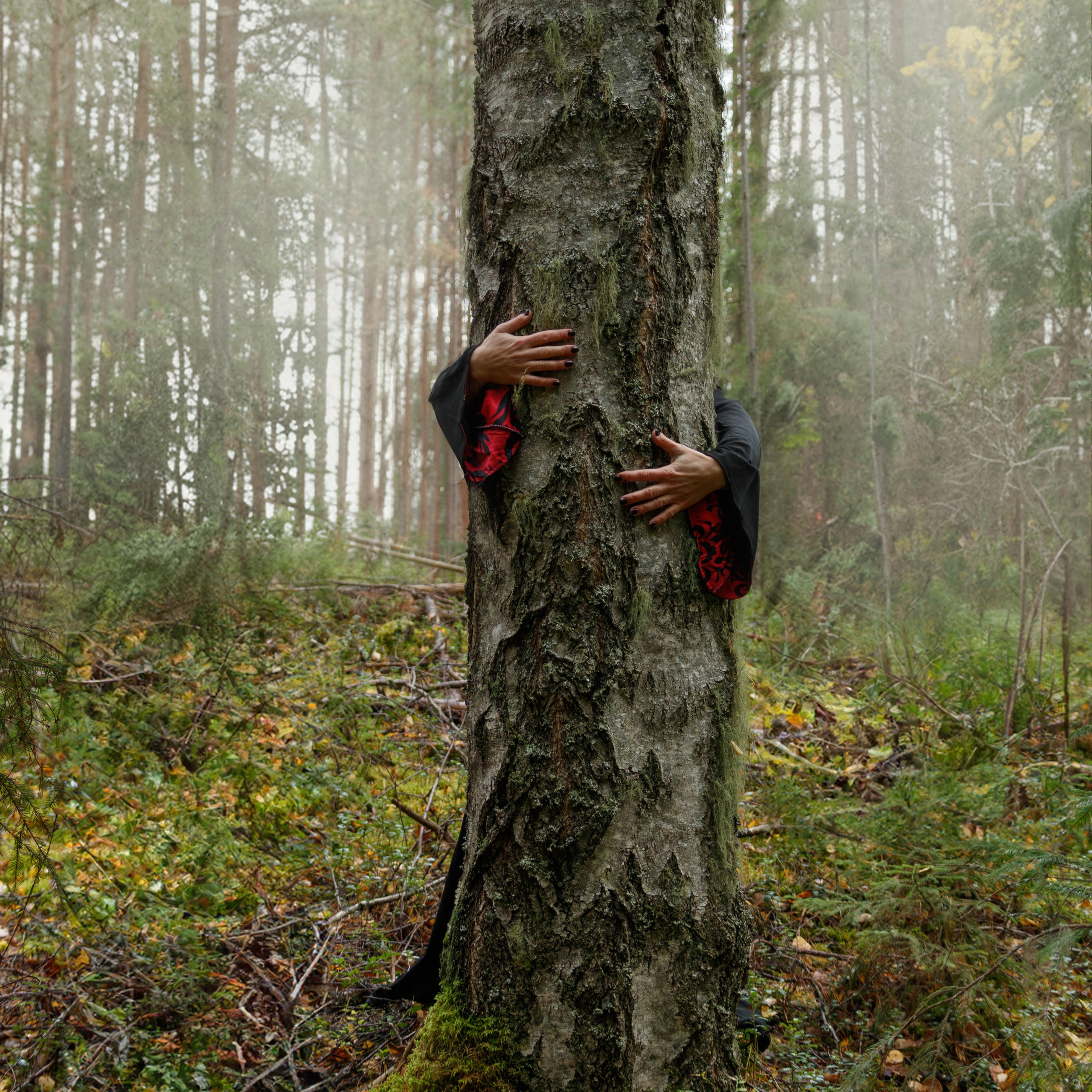 Уличные съёмки. Фотограф (графический дизайнер) Полонская Юлия