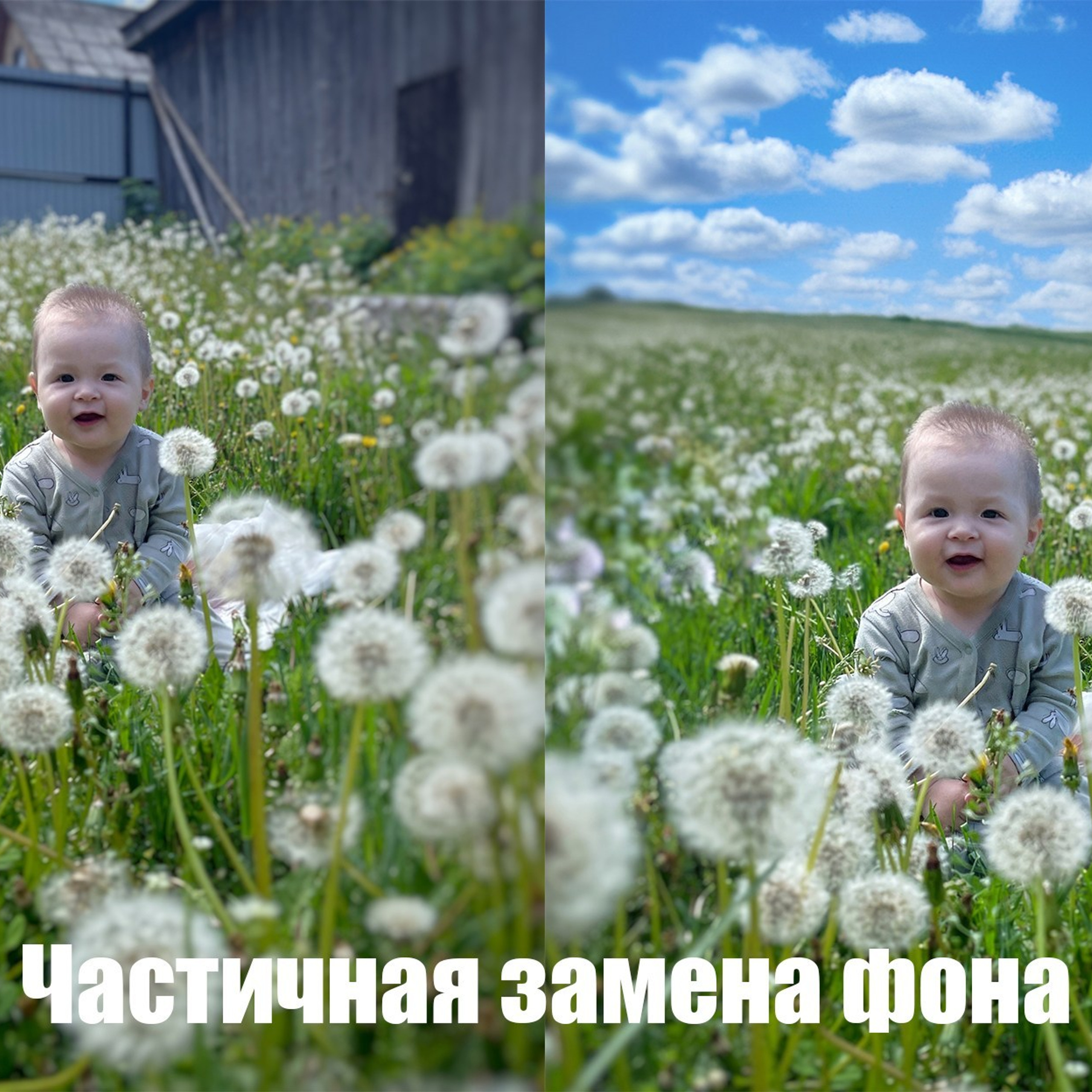 Замена фона. Фотограф (графический дизайнер) Полонская Юлия