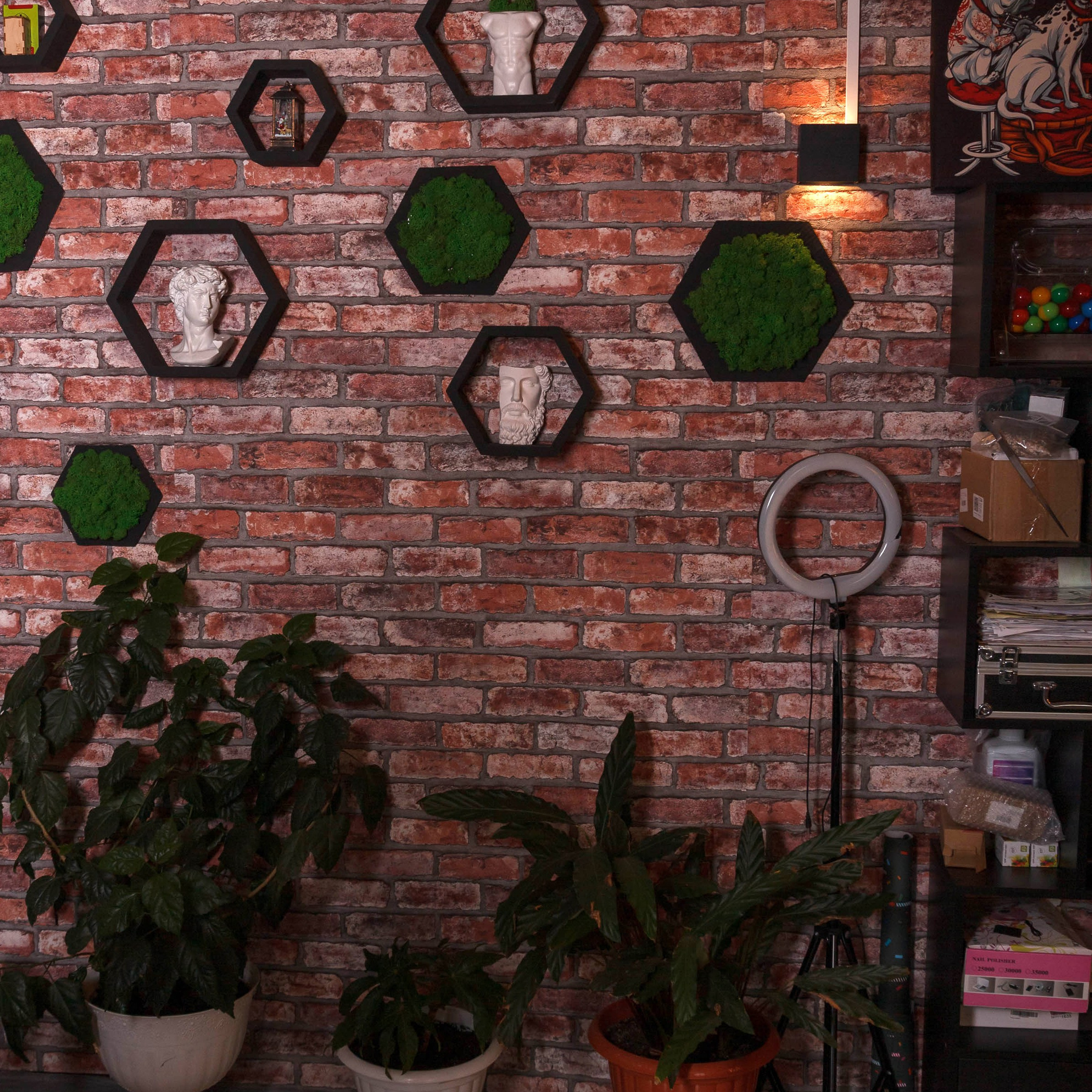 Контент съёмка. Фотограф (графический дизайнер) Полонская Юлия