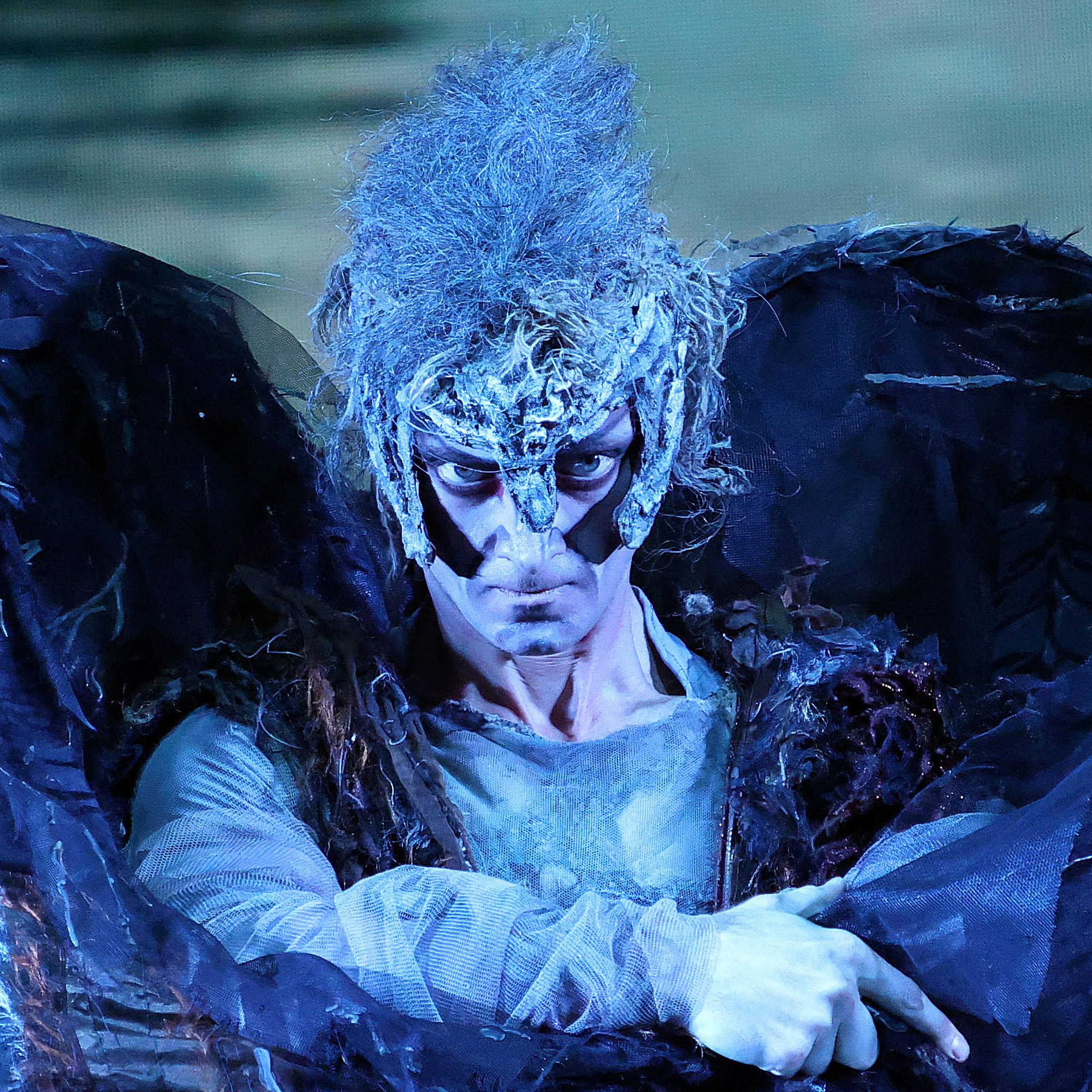 Лебединое озеро. ГАТ классического балета Н. Касаткиной и В. Василева