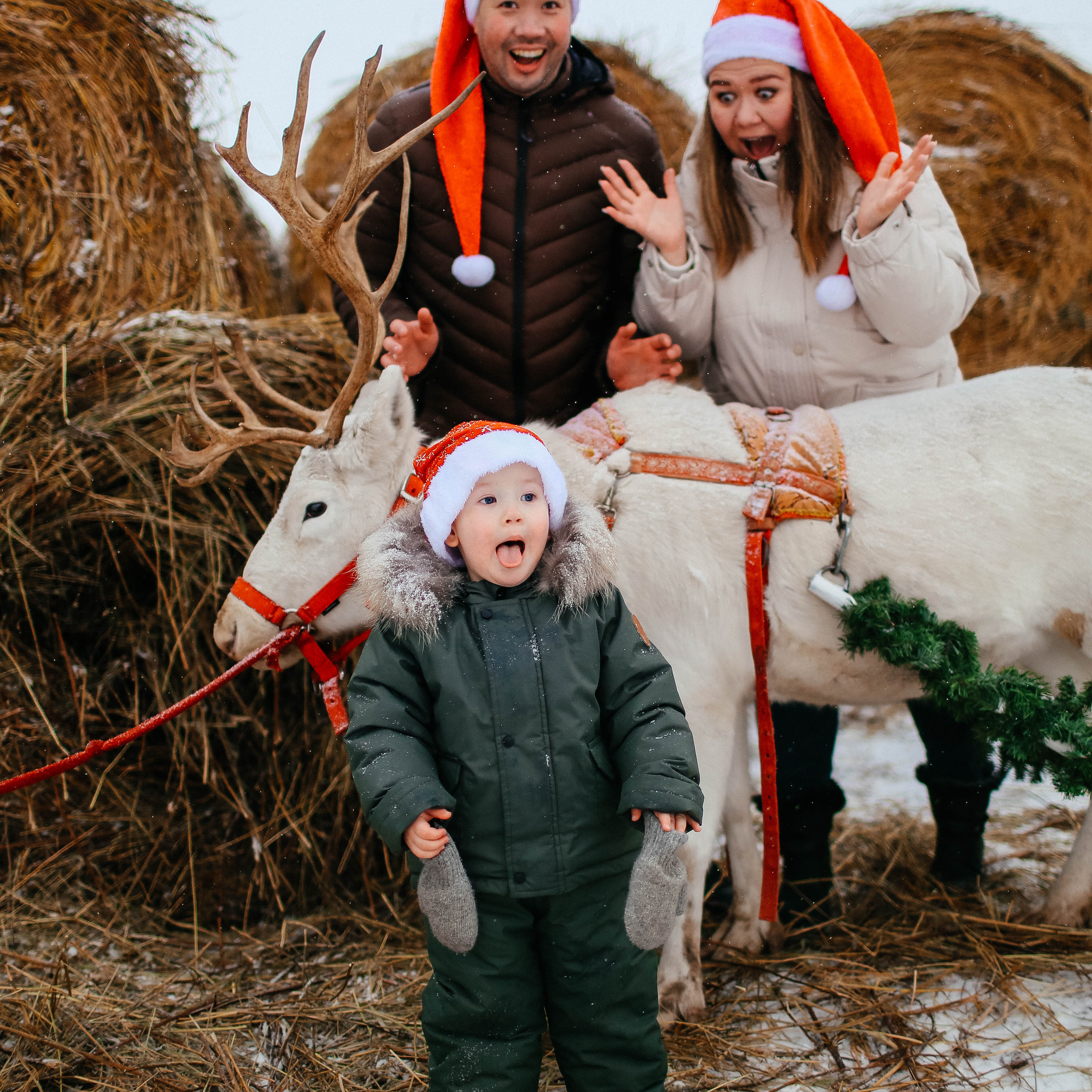 Новогодняя фотосессия на Ранчо с северным оленем