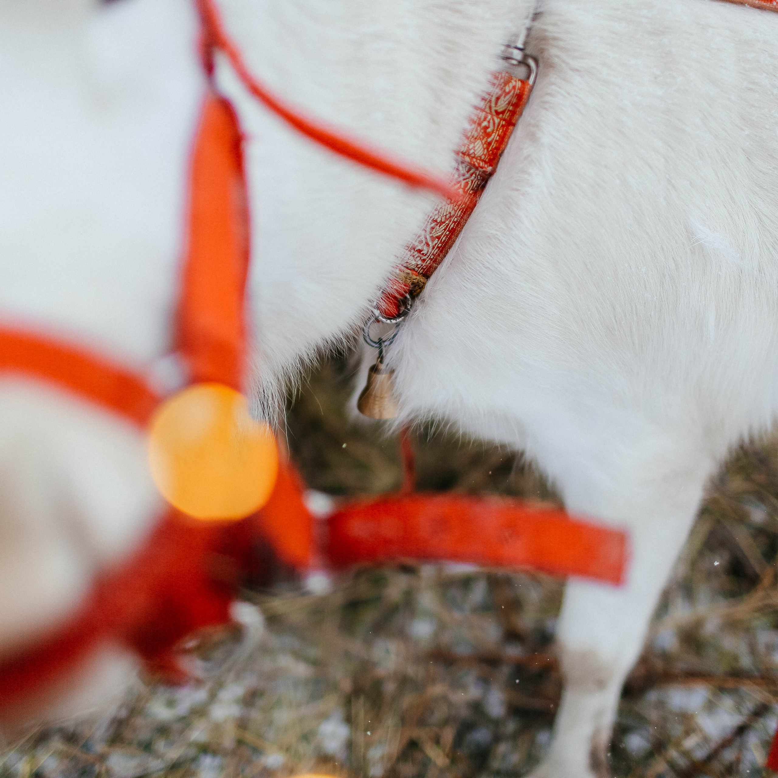Отзывы клиентов, обратная связь. Твой снимок СПб