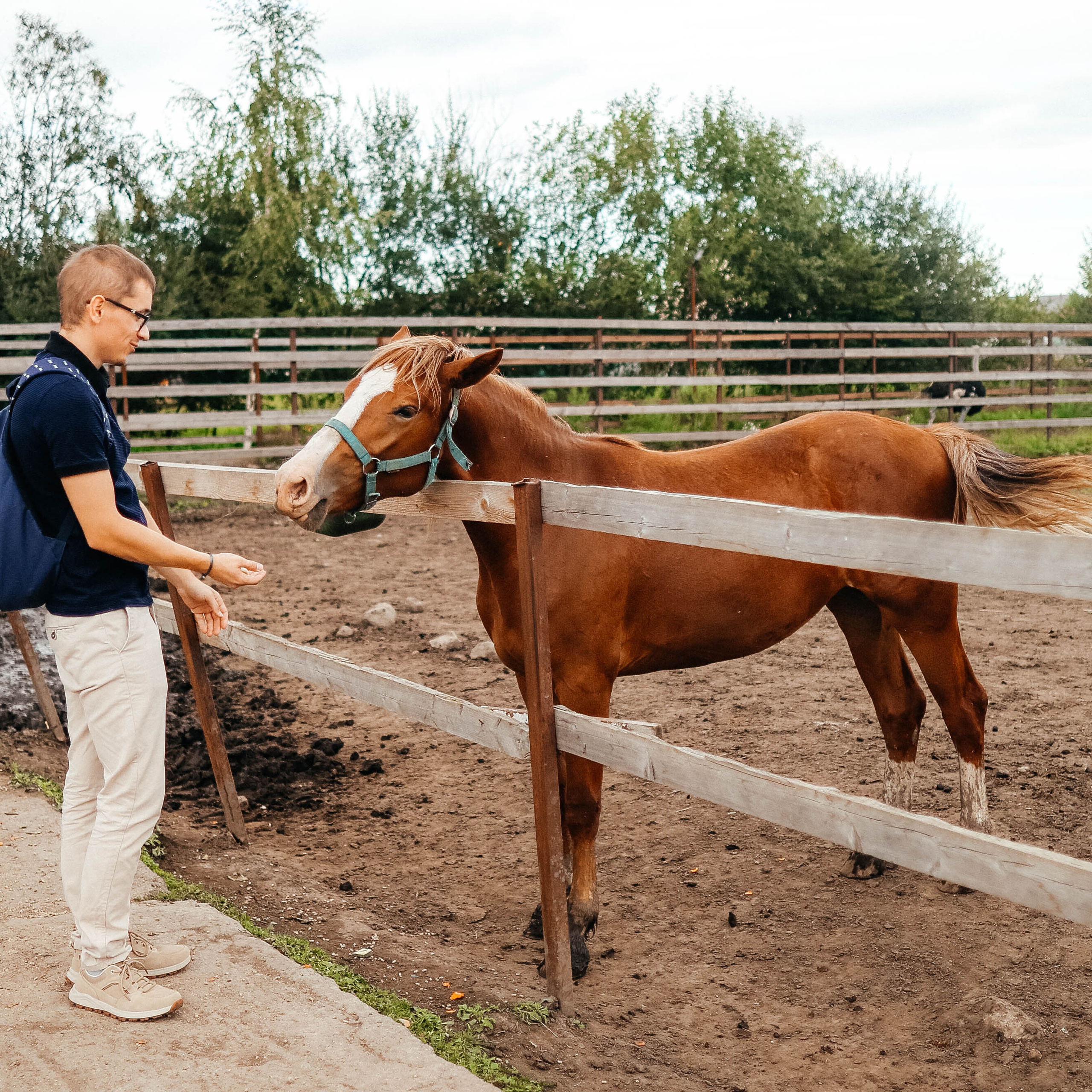 Отзывы клиентов, обратная связь. Твой снимок СПб