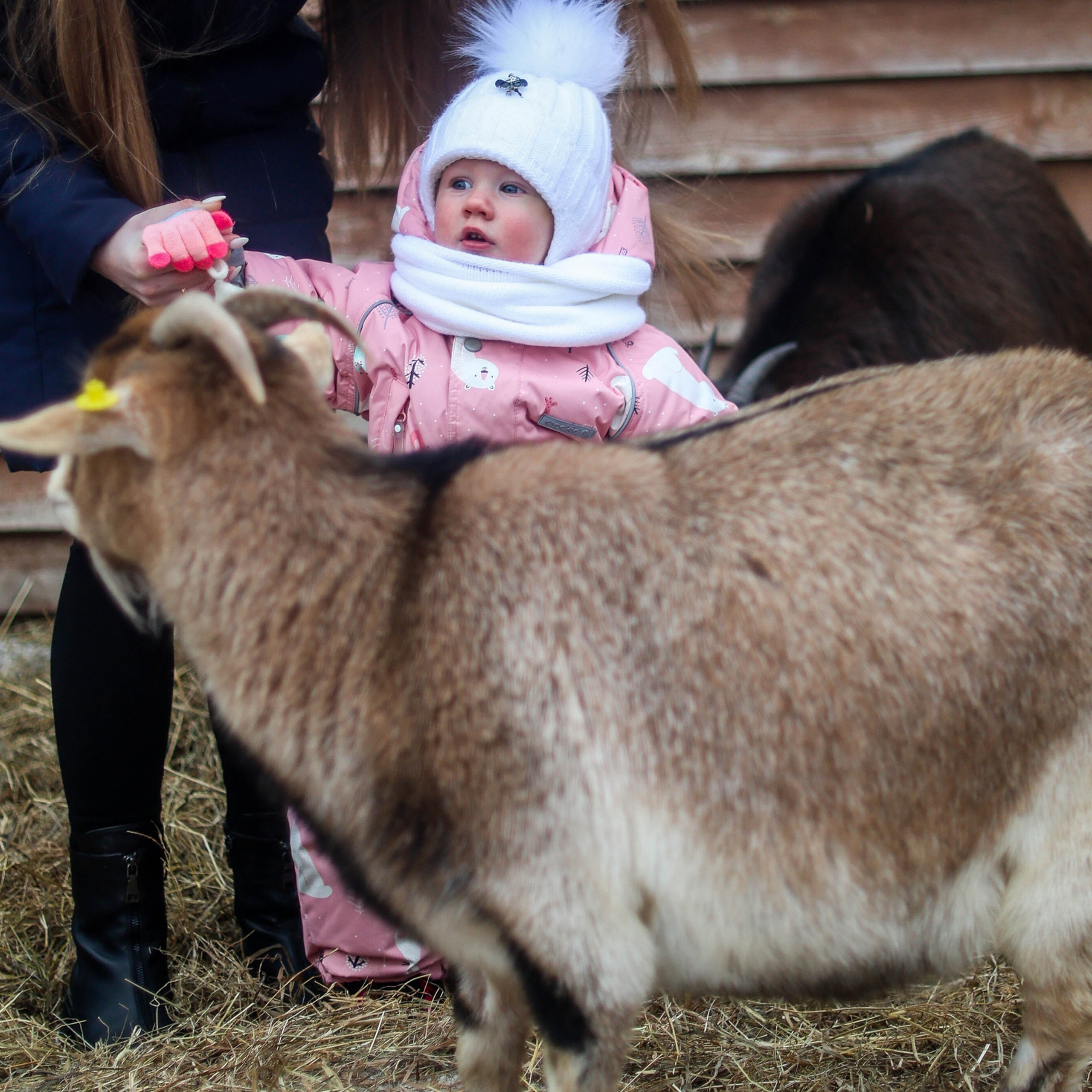 Отзывы клиентов, обратная связь. Твой снимок СПб