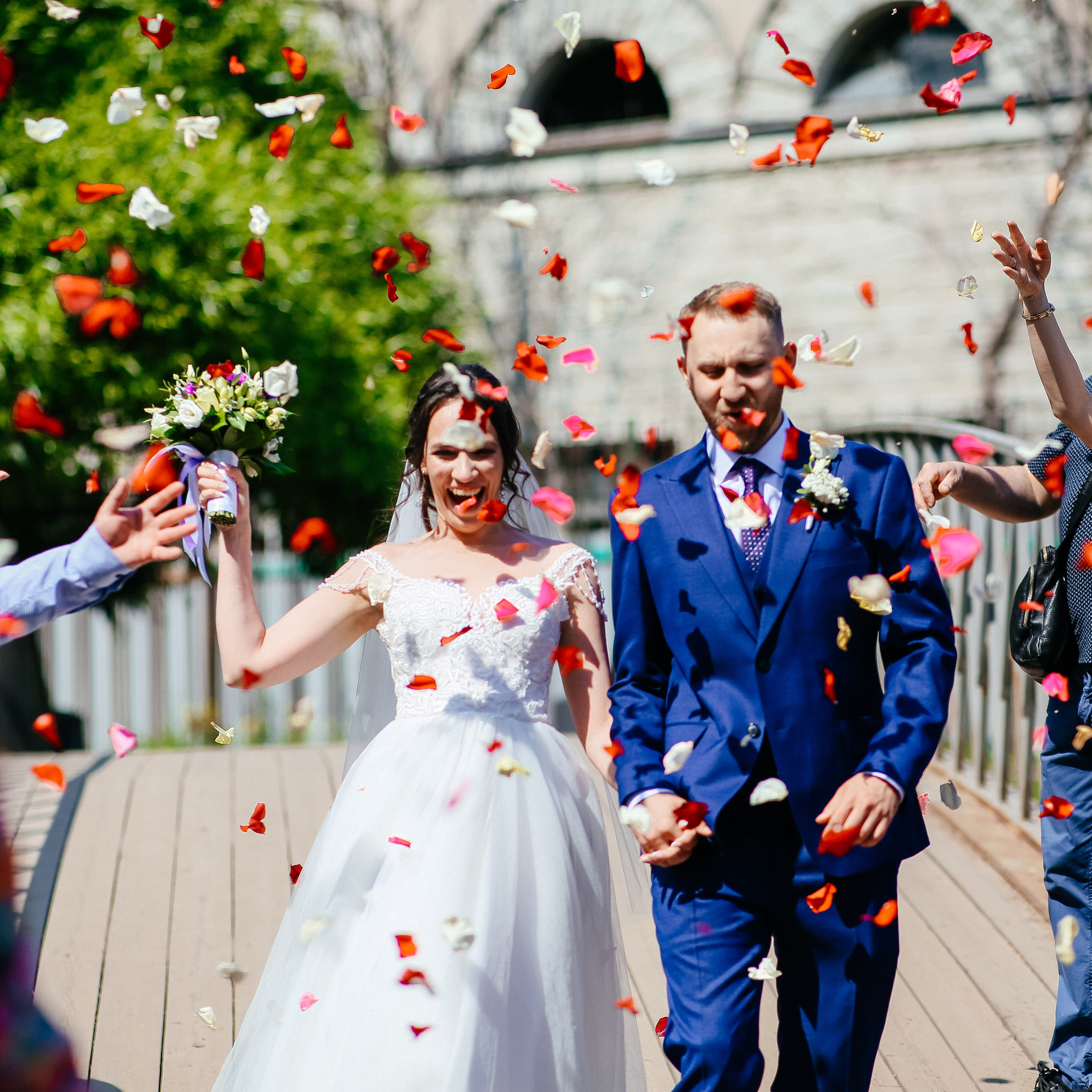 Владимир и Анна