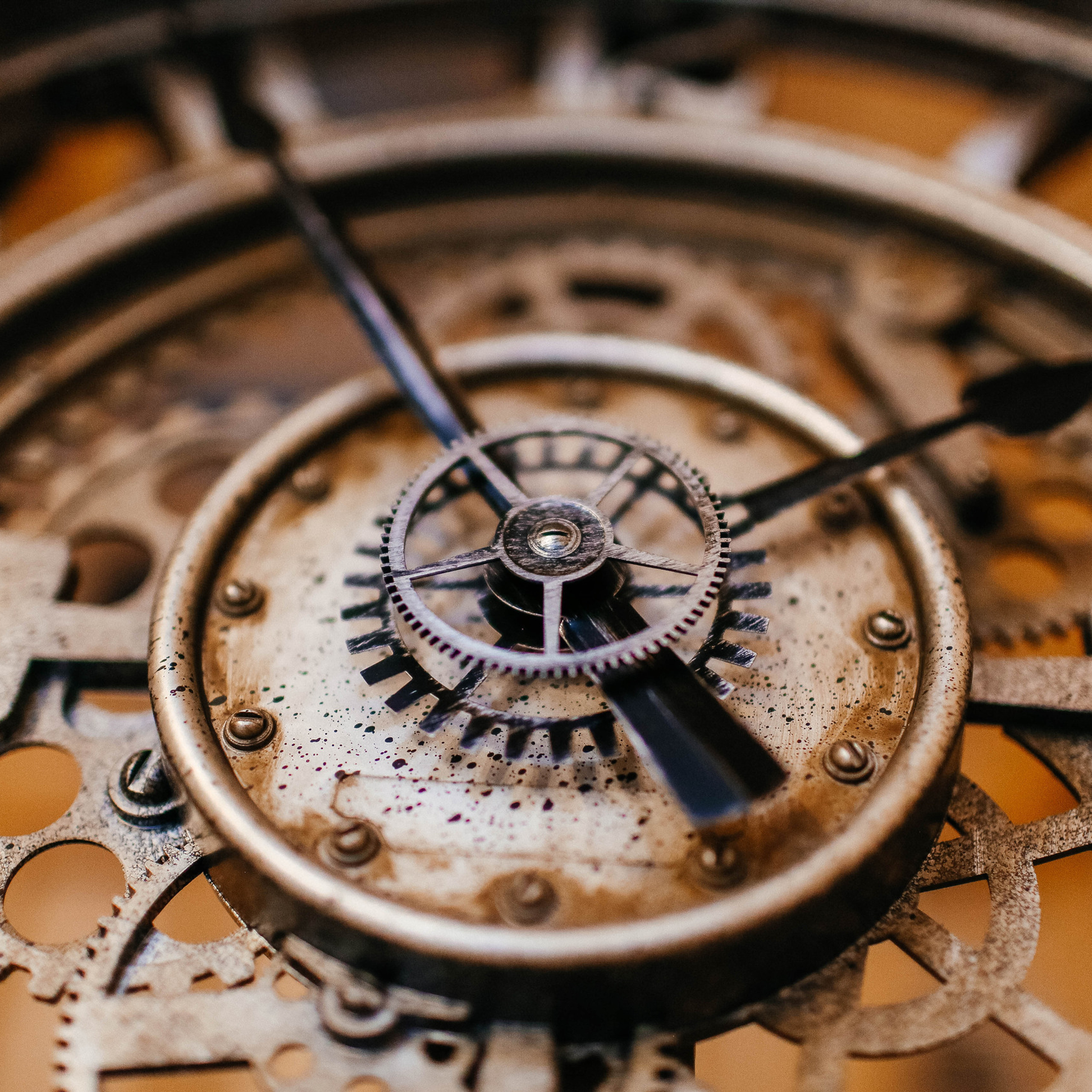 Отзывы клиентов, обратная связь. Твой снимок СПб