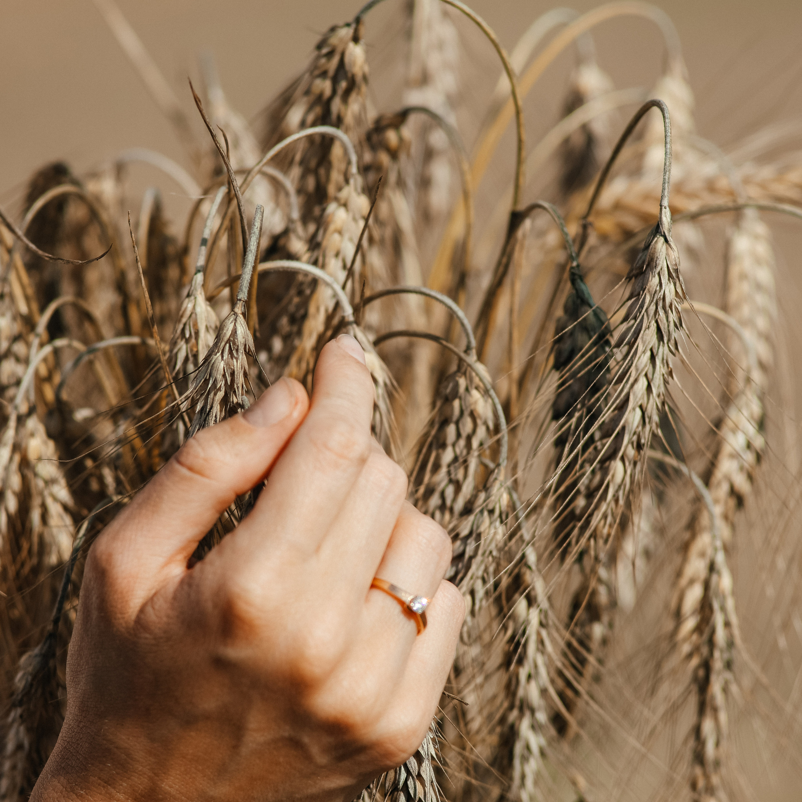 Отзывы клиентов, обратная связь. Твой снимок СПб