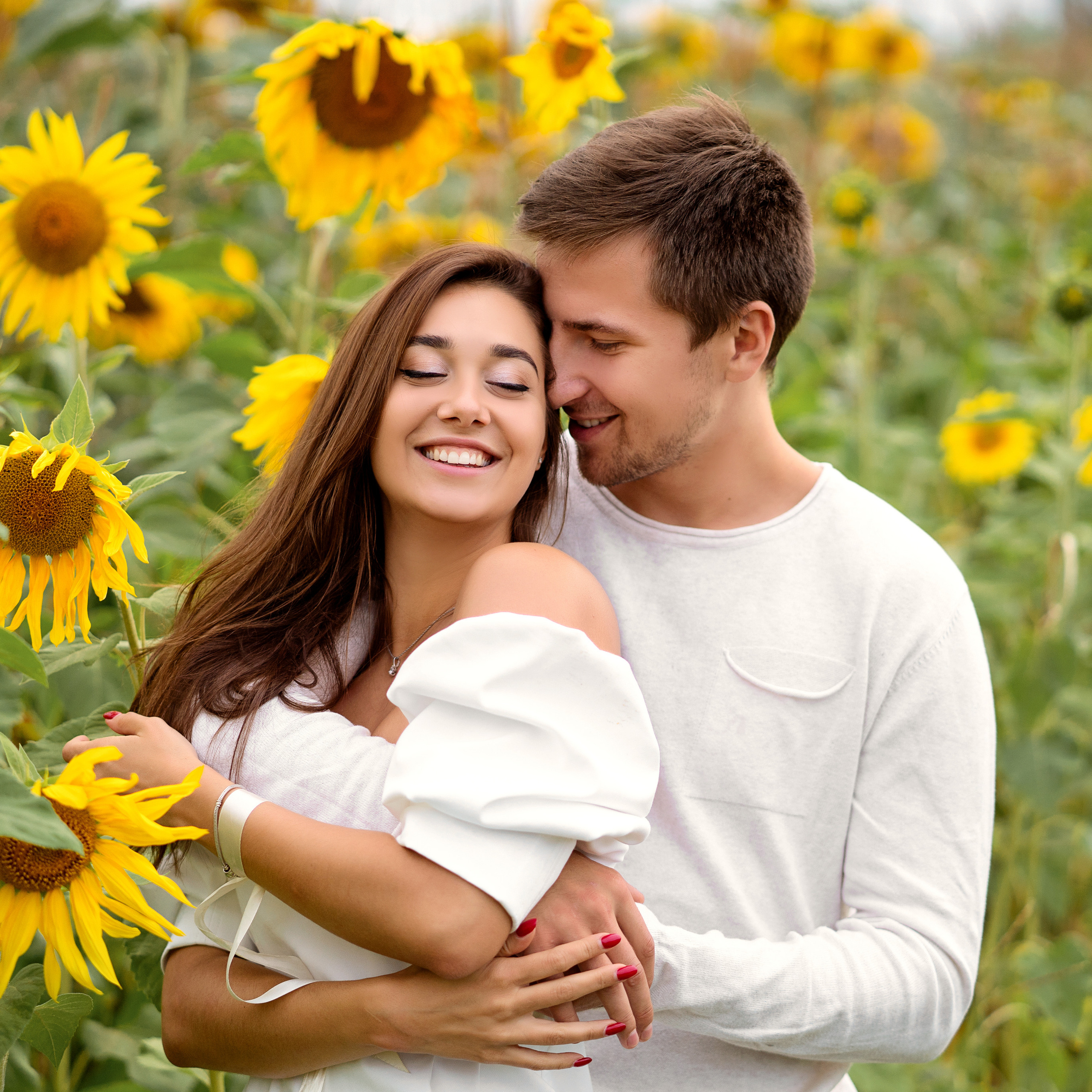 Подсолнухи…