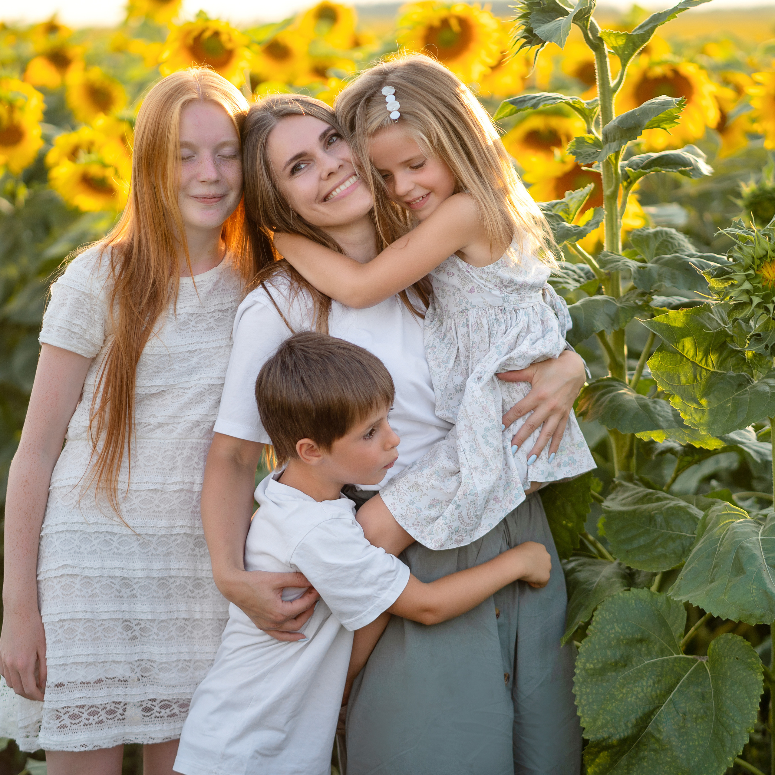 Подсолнухи