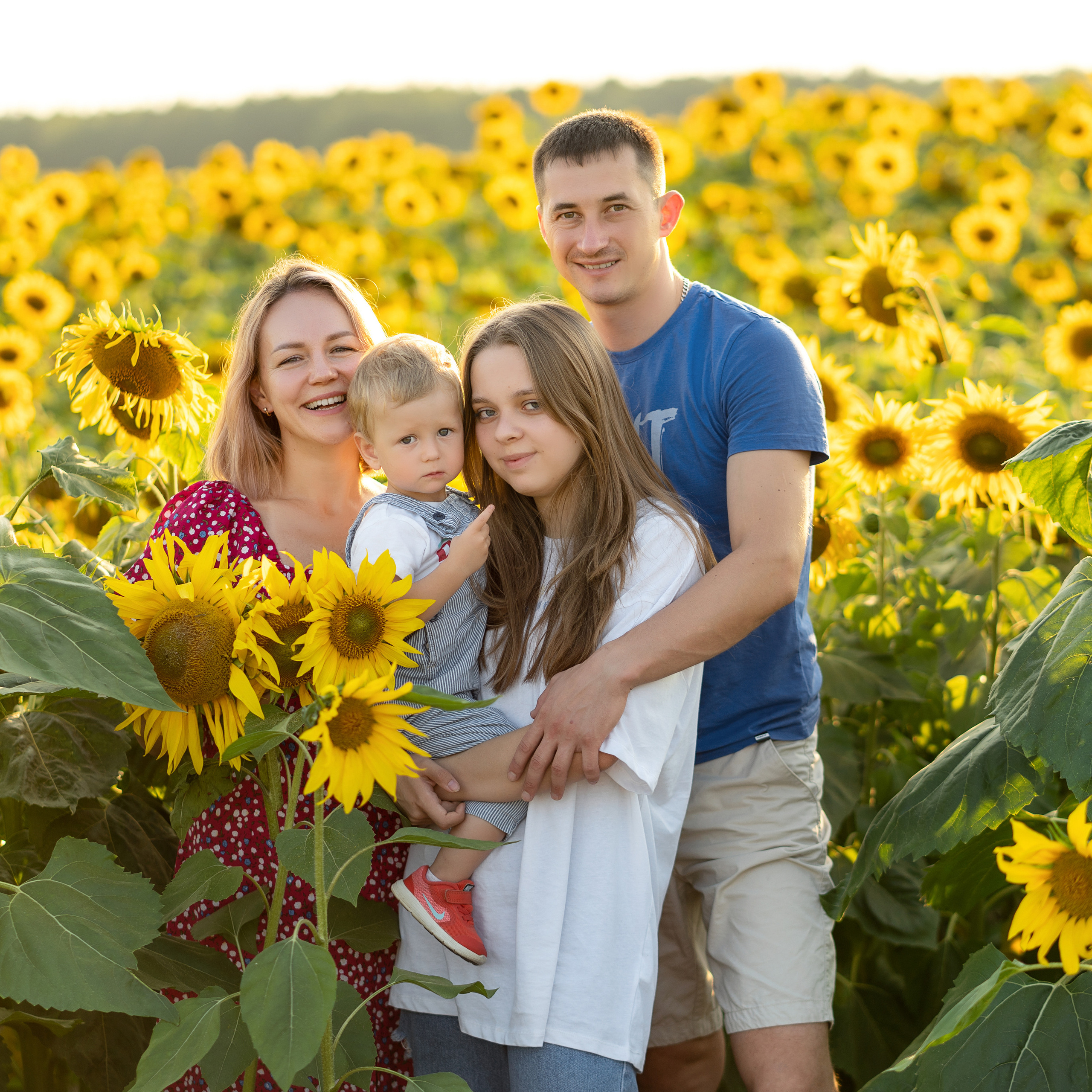 Подсолнухи