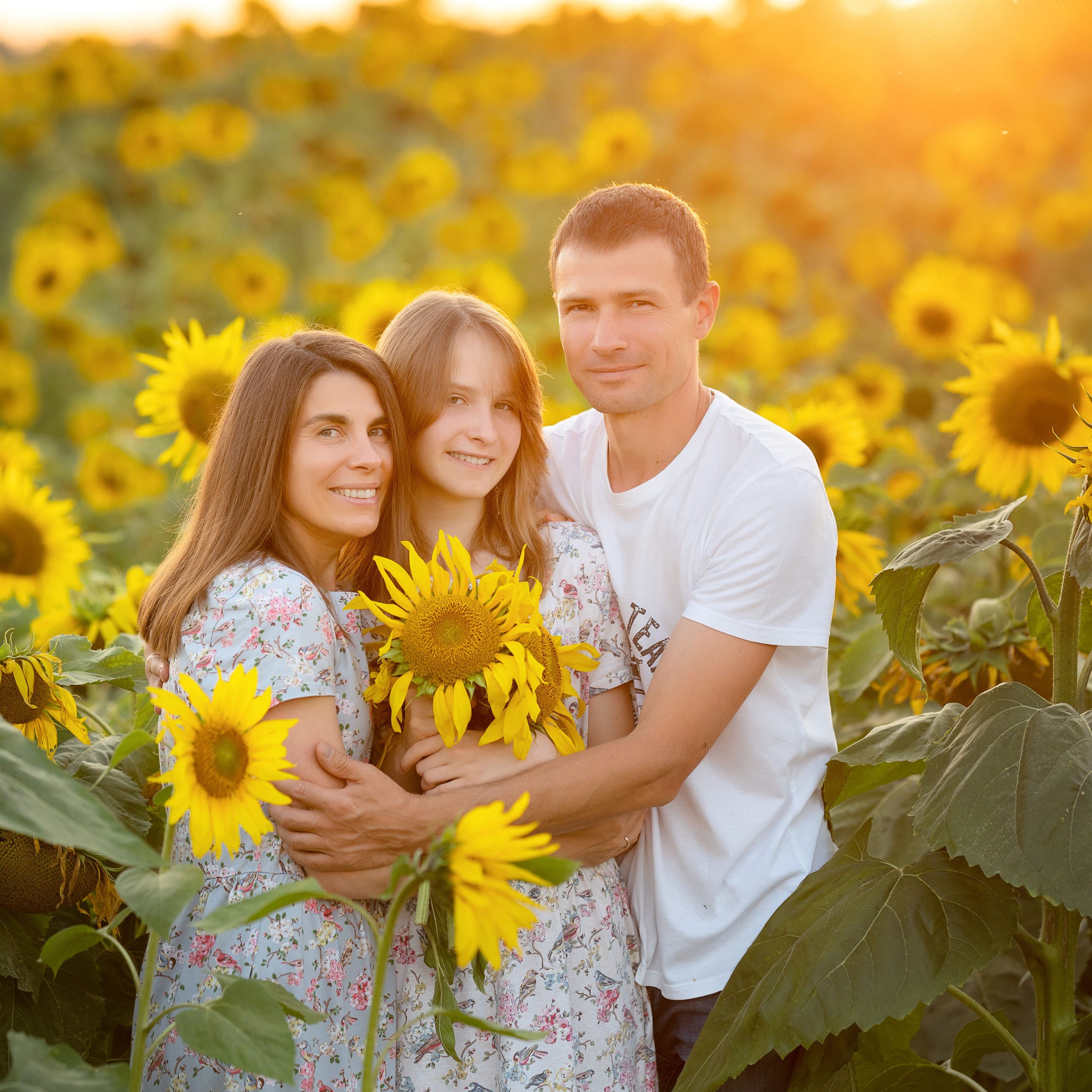 Подсолнухи