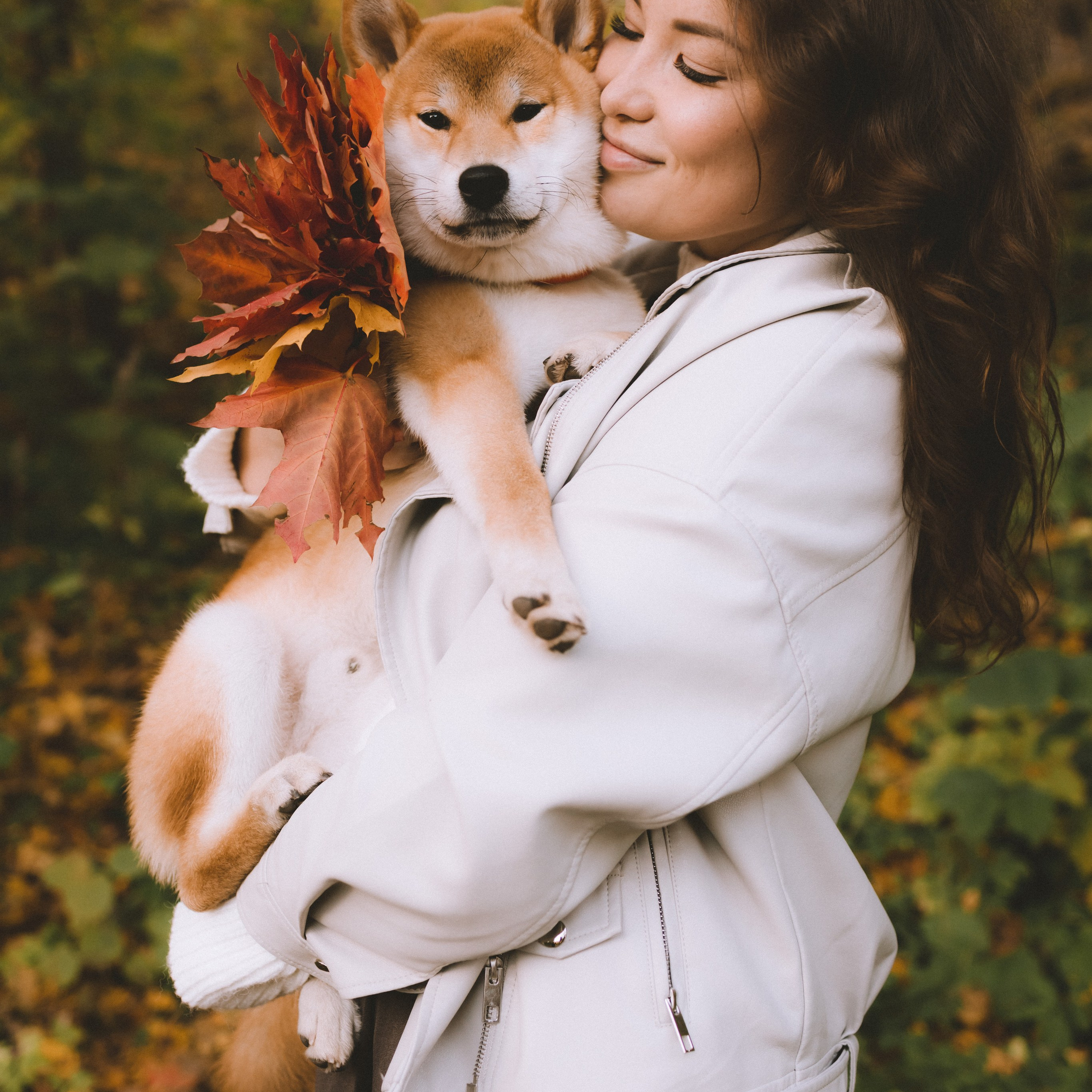 Фотосессия с собакой в осеннем Дудергофе