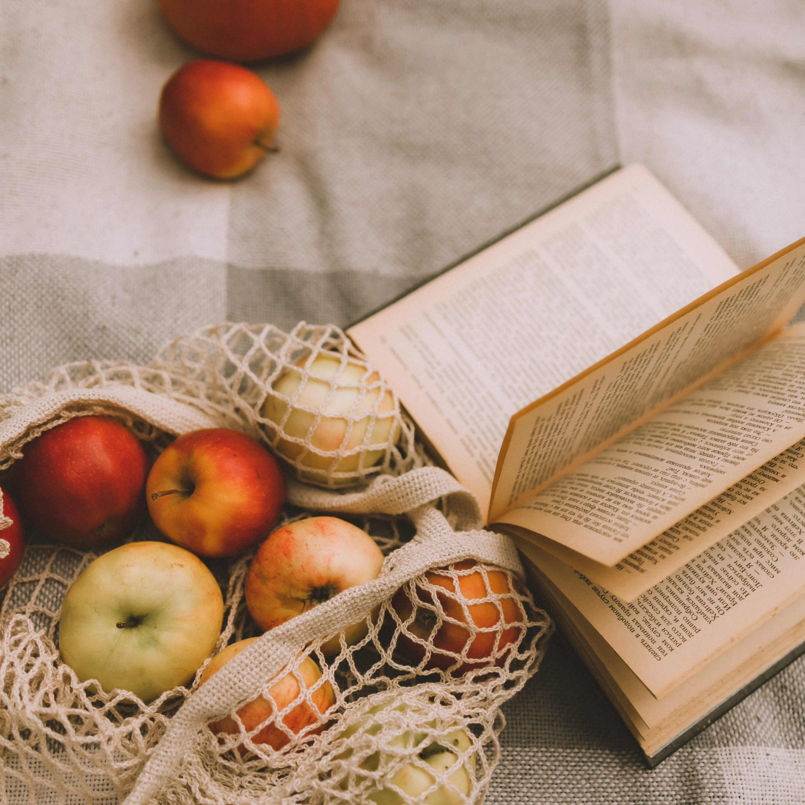 Отзывы. Семейный и женский фотограф в Санкт-Петербурге Павлова Елена