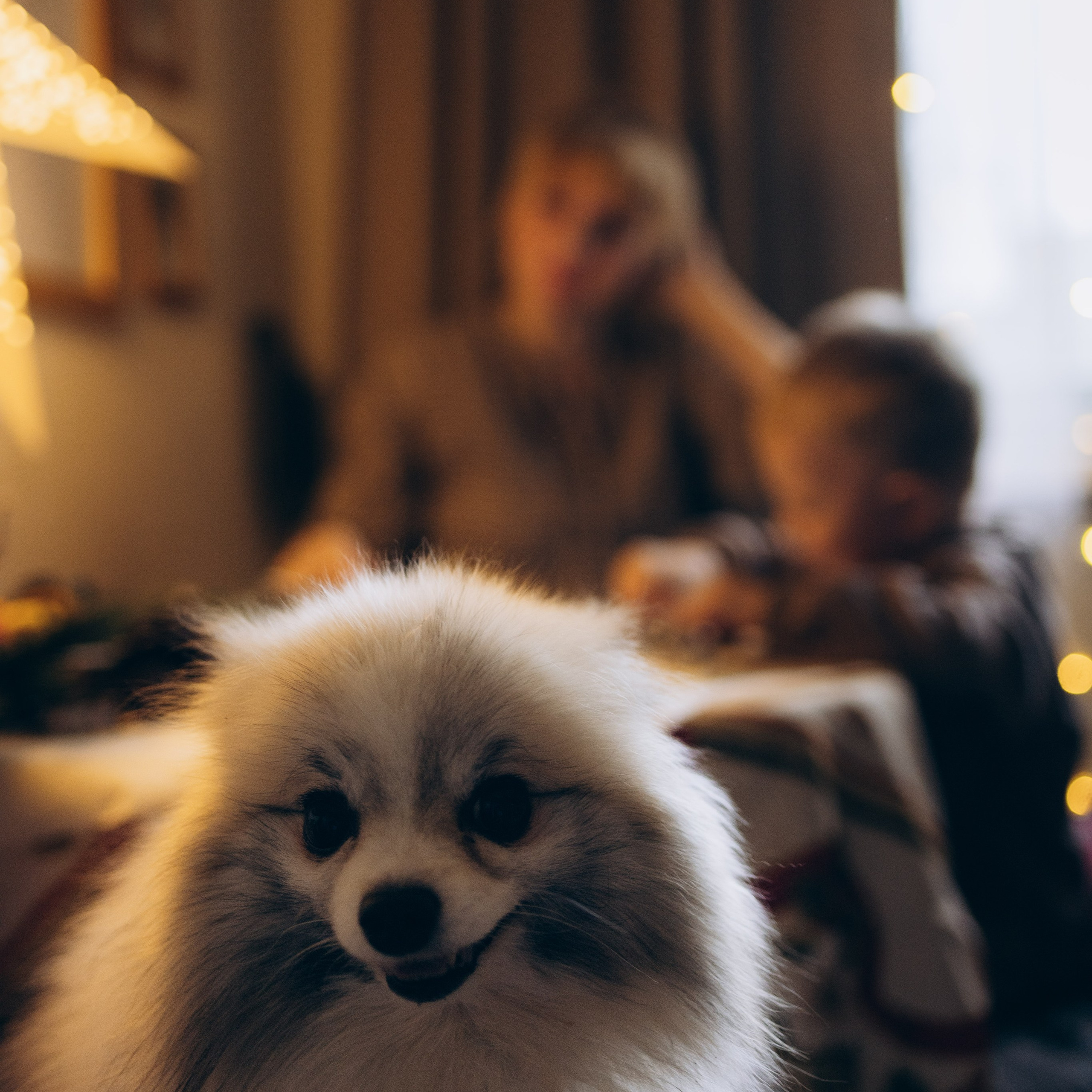 Отзывы. Семейный и женский фотограф в Санкт-Петербурге Павлова Елена