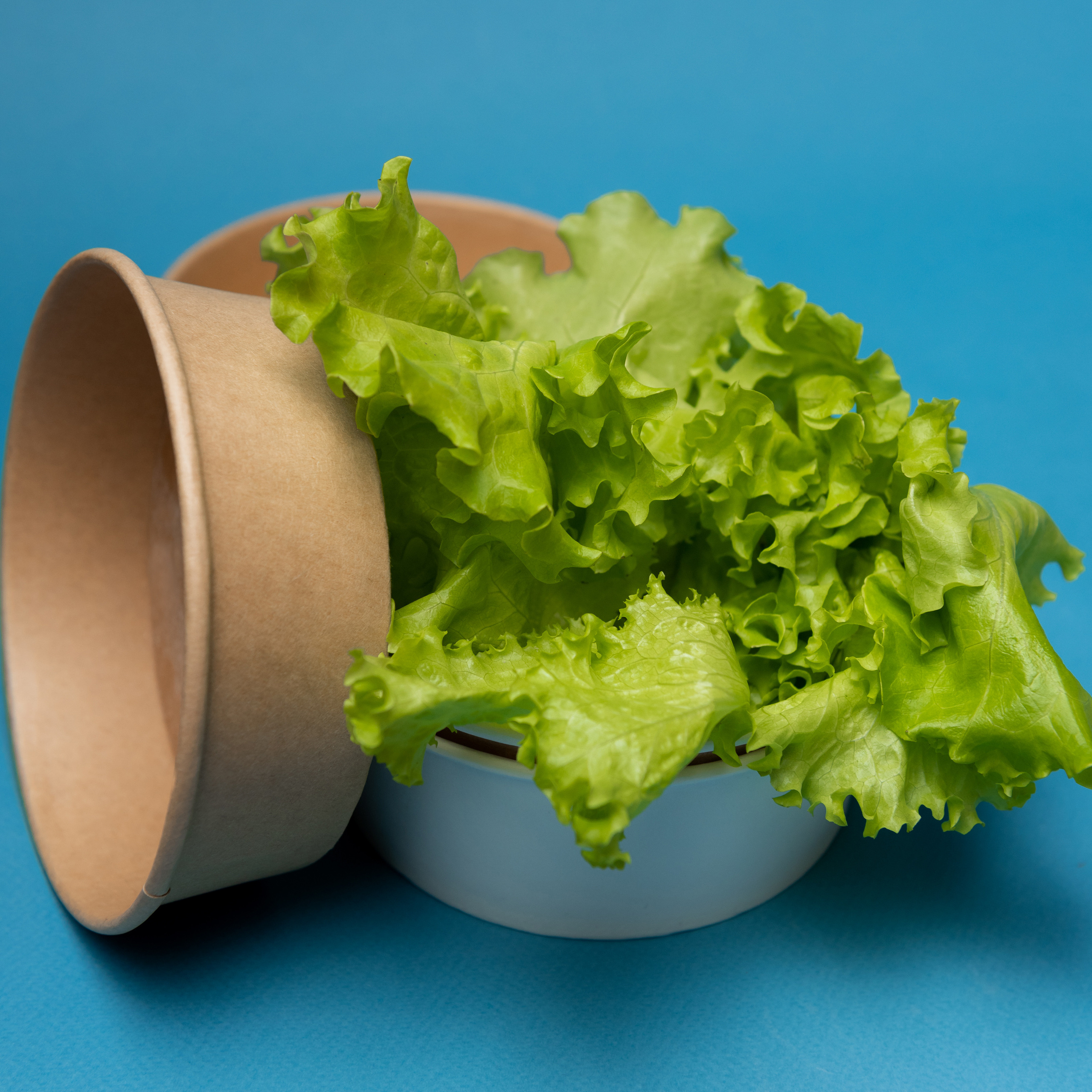 Эко — посуда Green Mystery