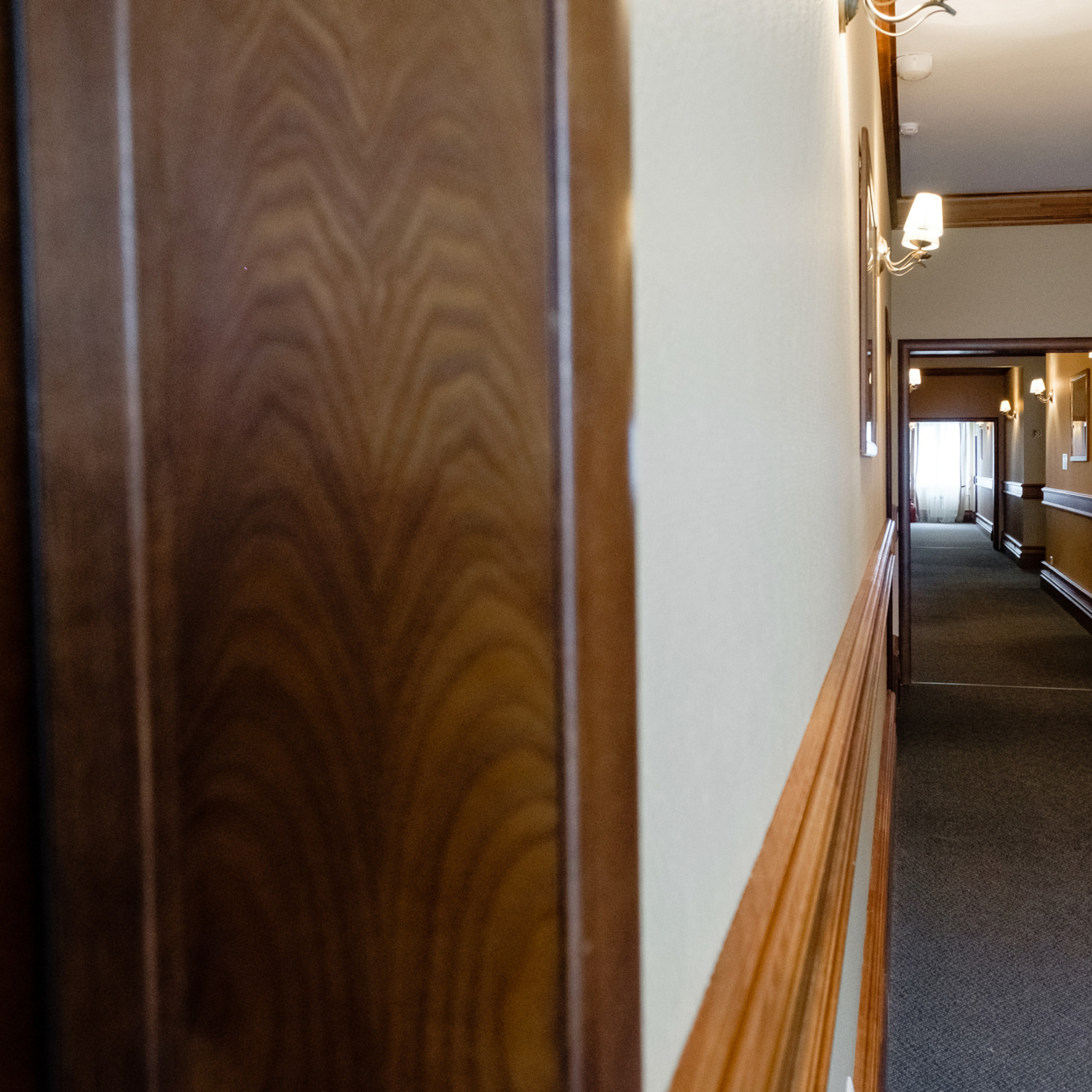 Зайцы. Профессиональный фотограф в Екатеринбурге Константин Зарипов