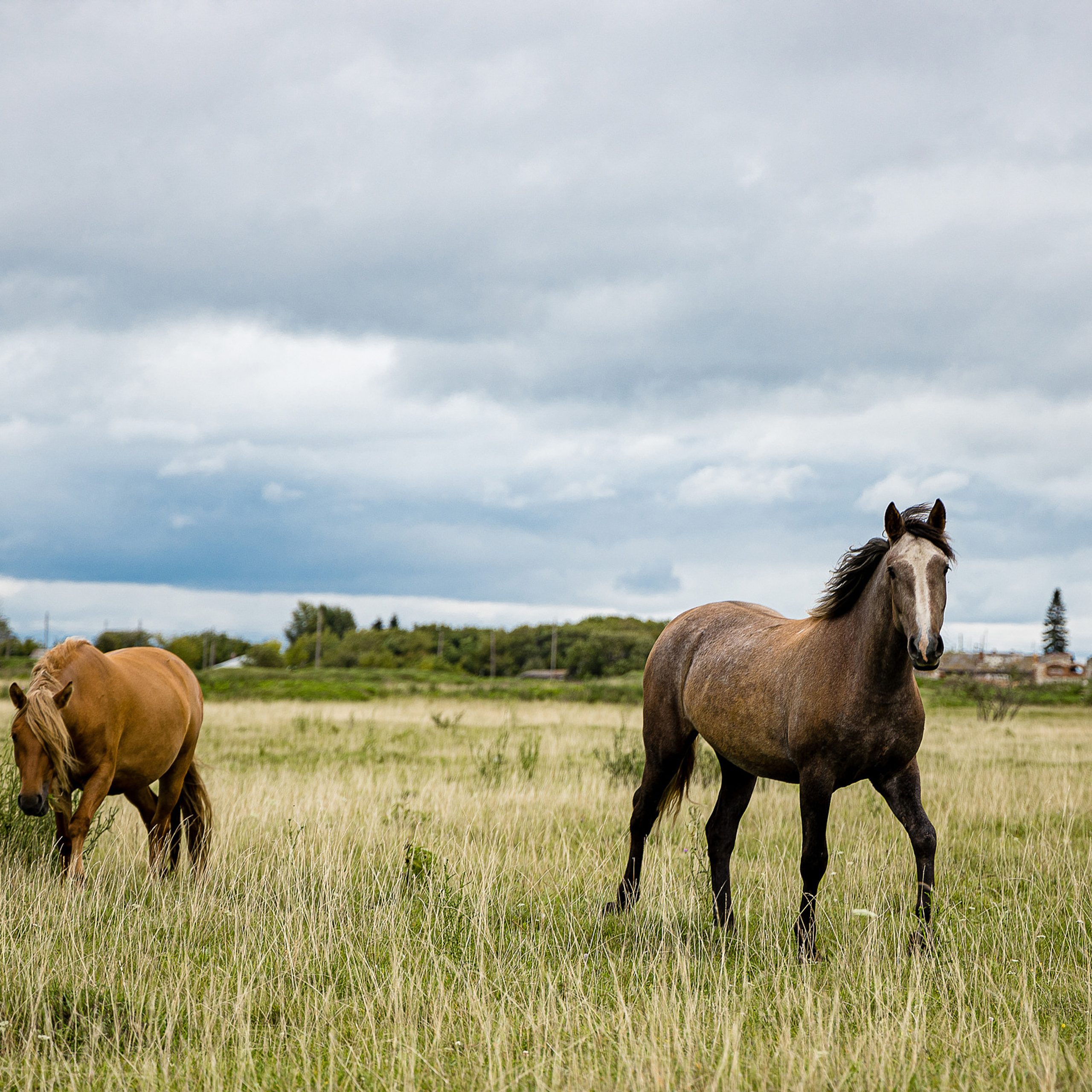 ФЕРМА. Профессиональный фотограф в Екатеринбурге Константин Зарипов