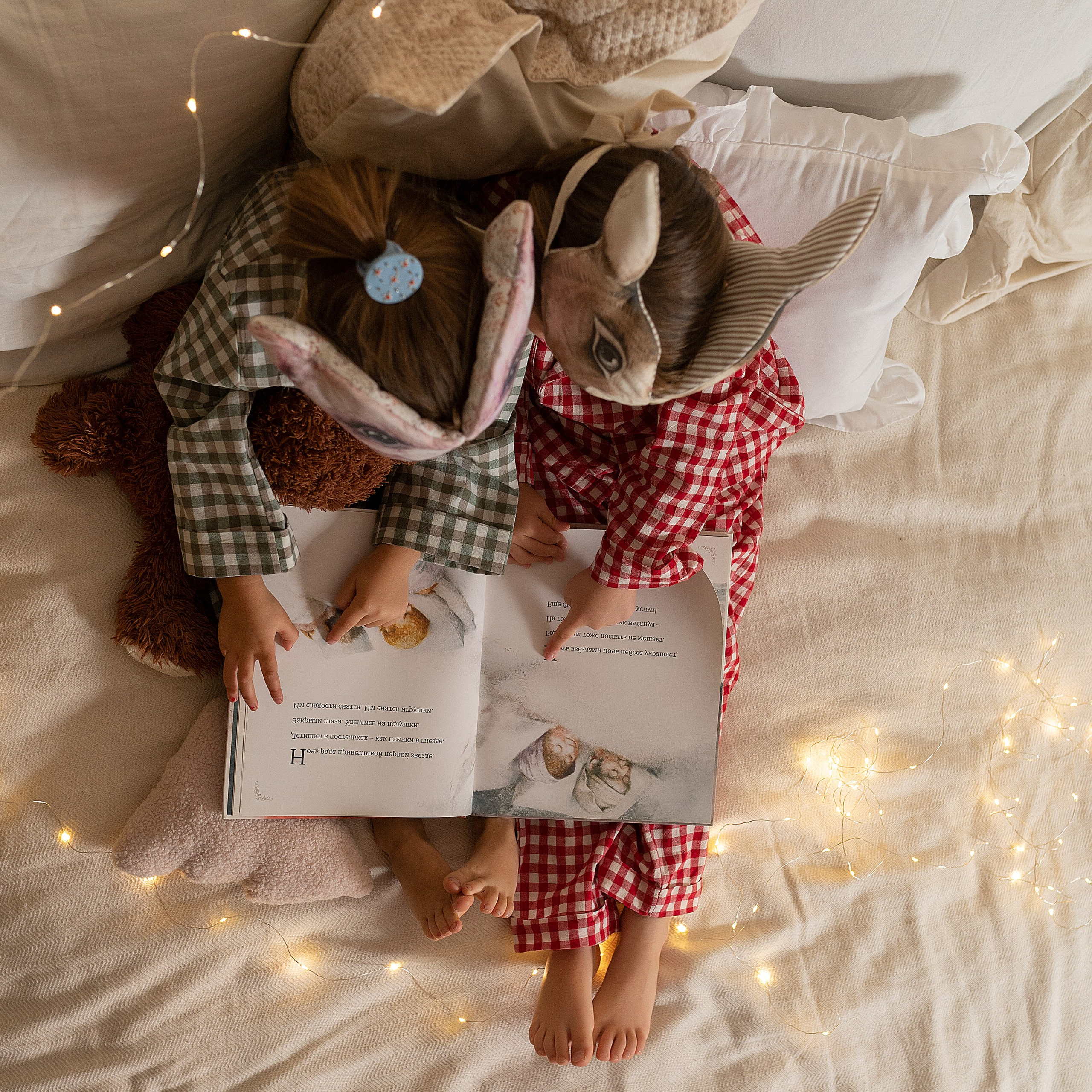 Новогодний переполох 24-25