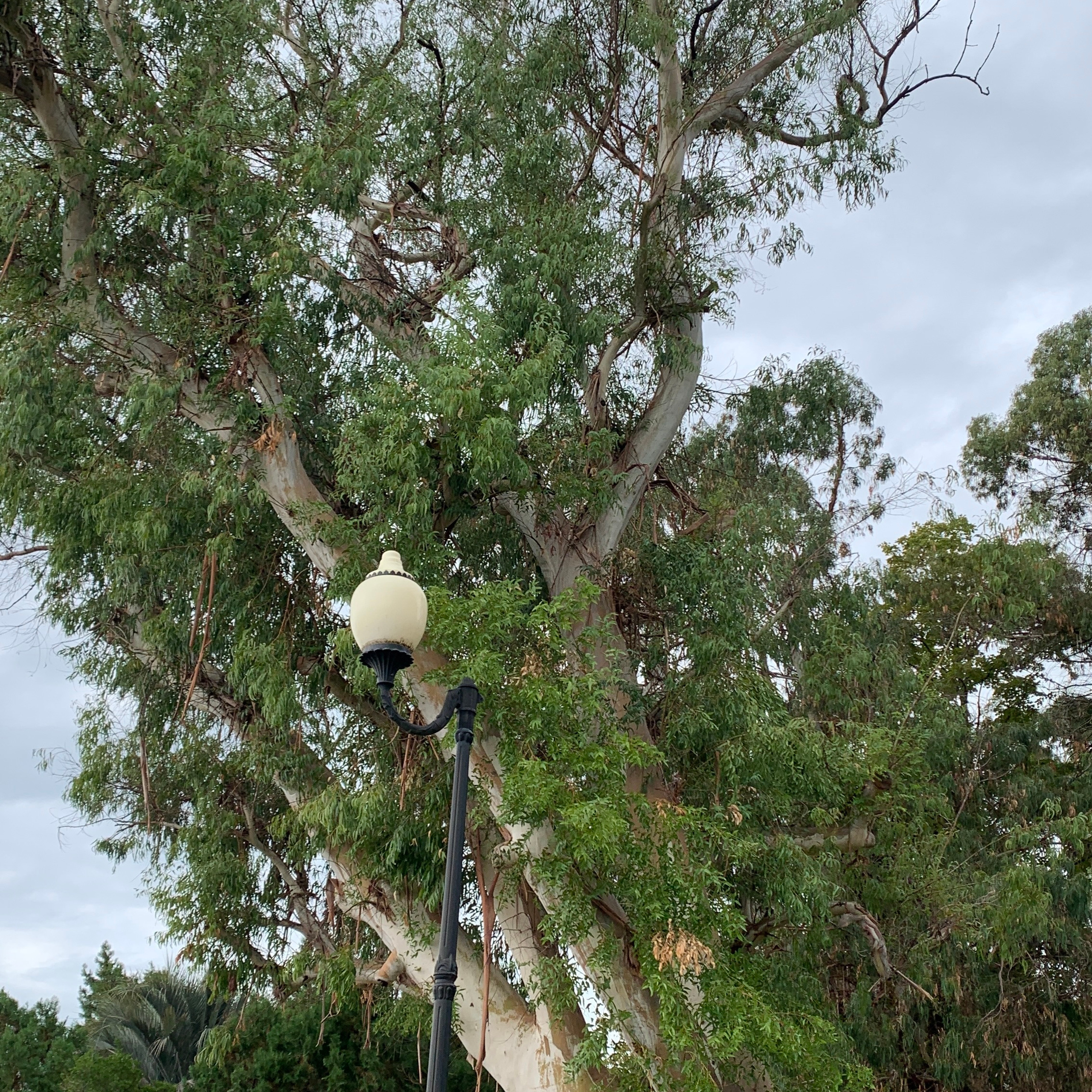 Отзывы. Детский фотограф Абхазия