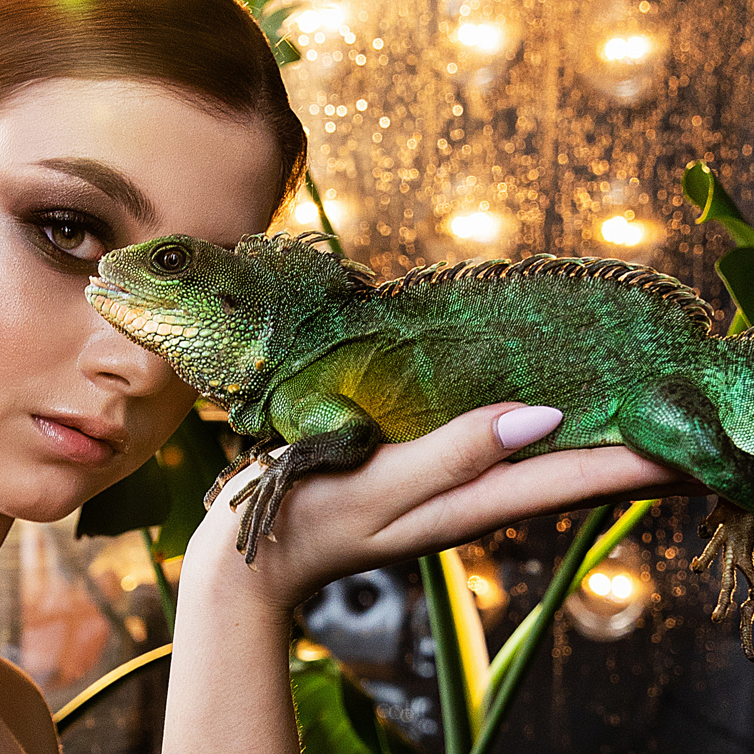 С рептилиями