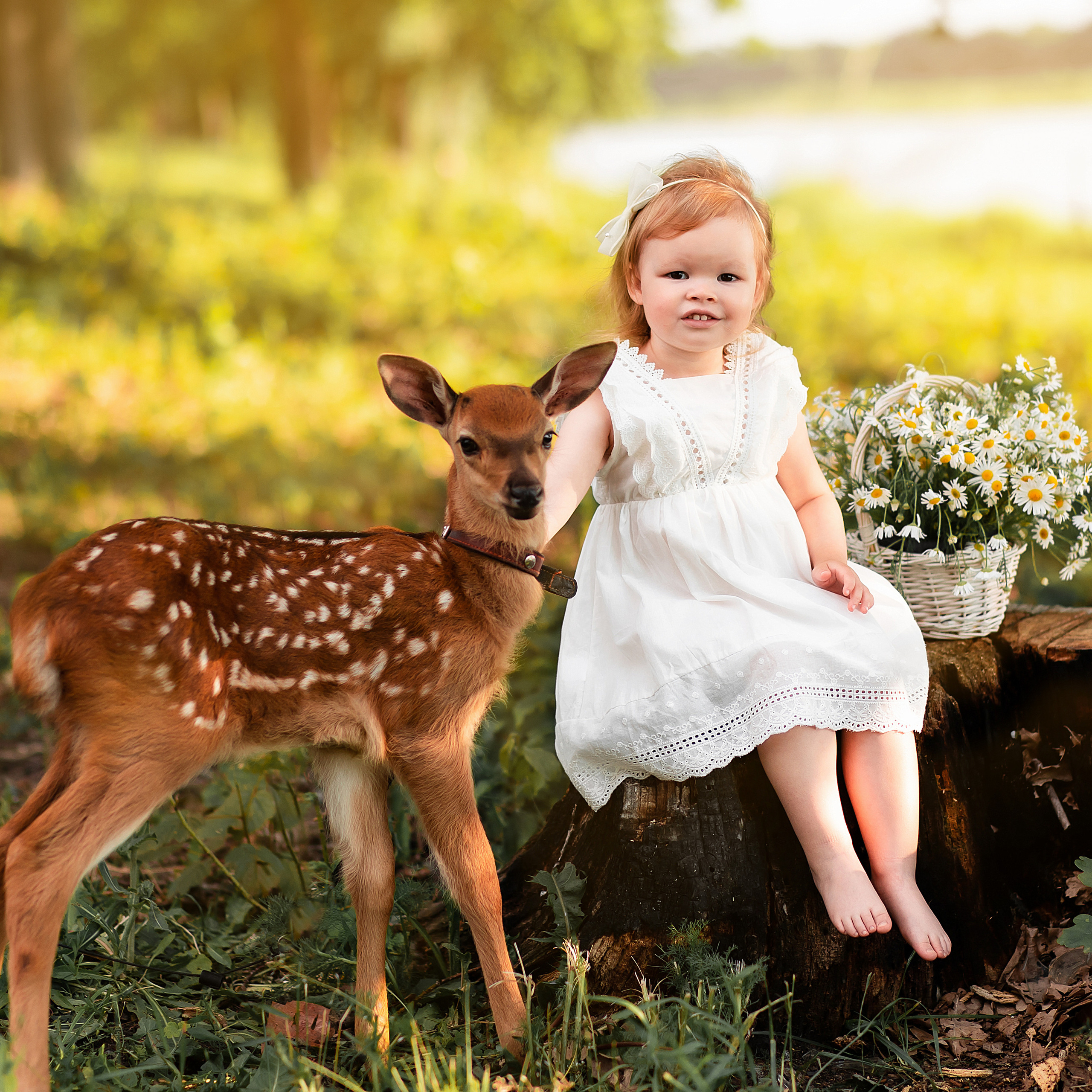 С олененком