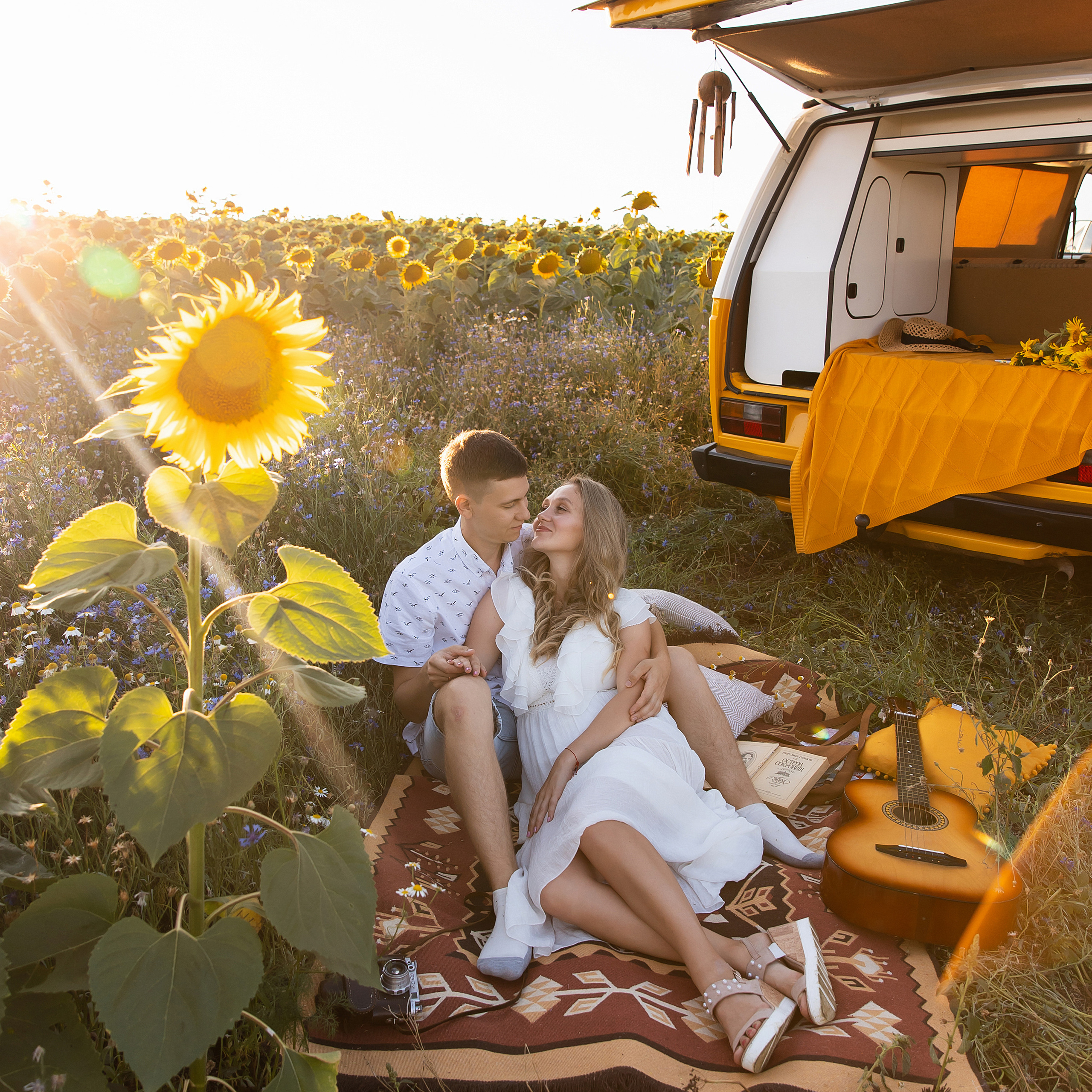 Подсолнухи