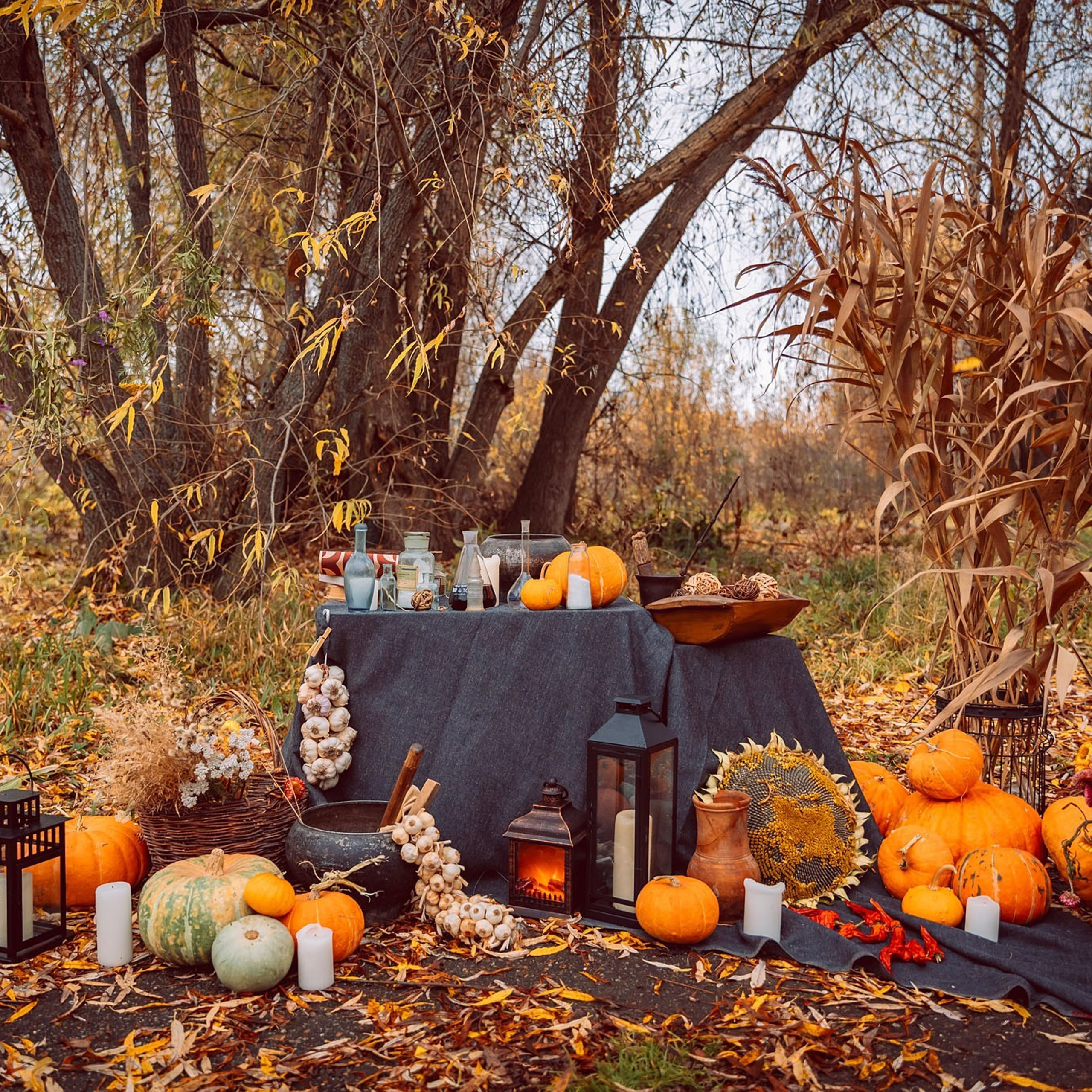 Отзывы. Фотограф в Тобольске Елена Лобакова