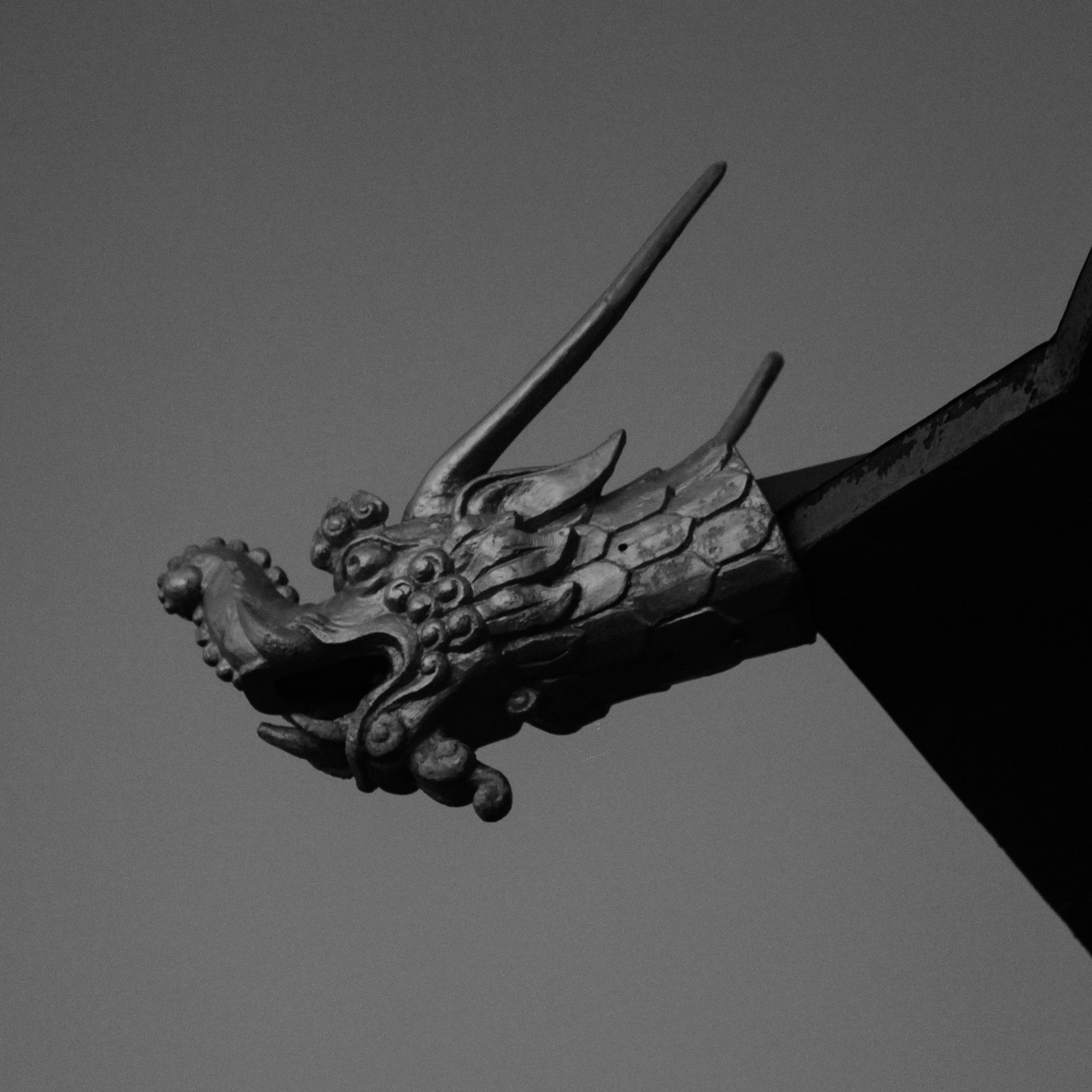 Калмыкия " Одинокий тополь»