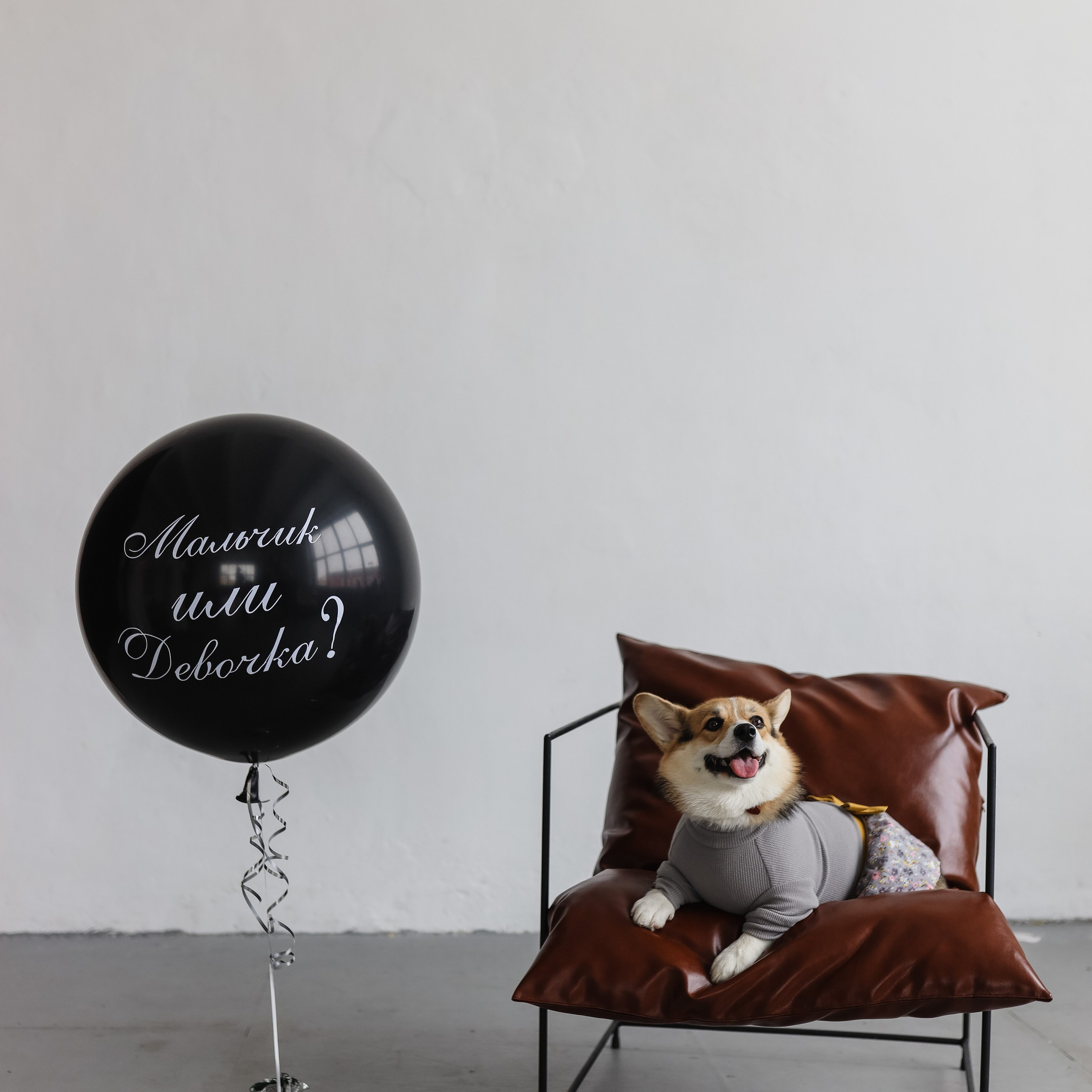 Гендер пати Анастасии и Вадима