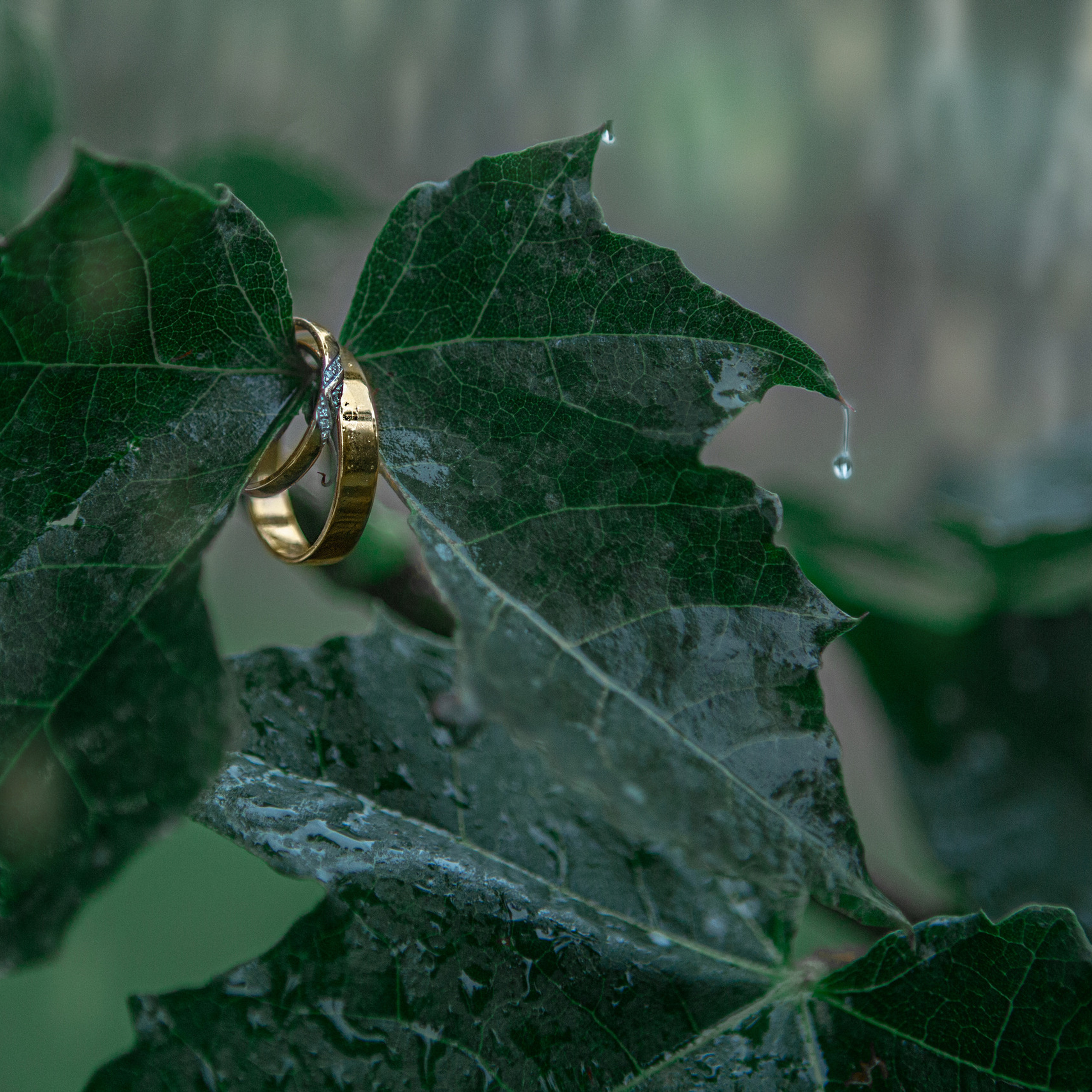 Отзывы. Фотограф на крестины