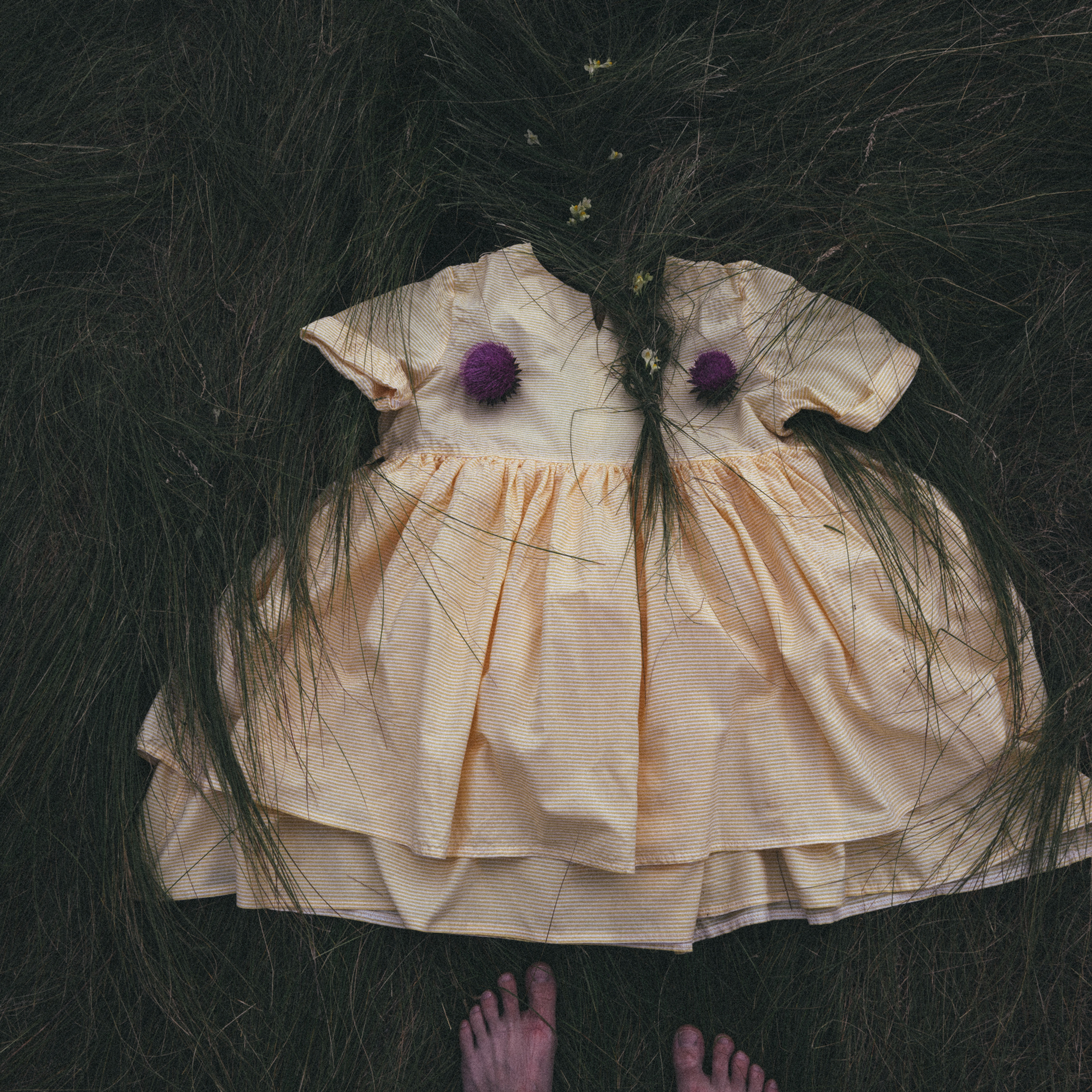 К И К И М О Р А