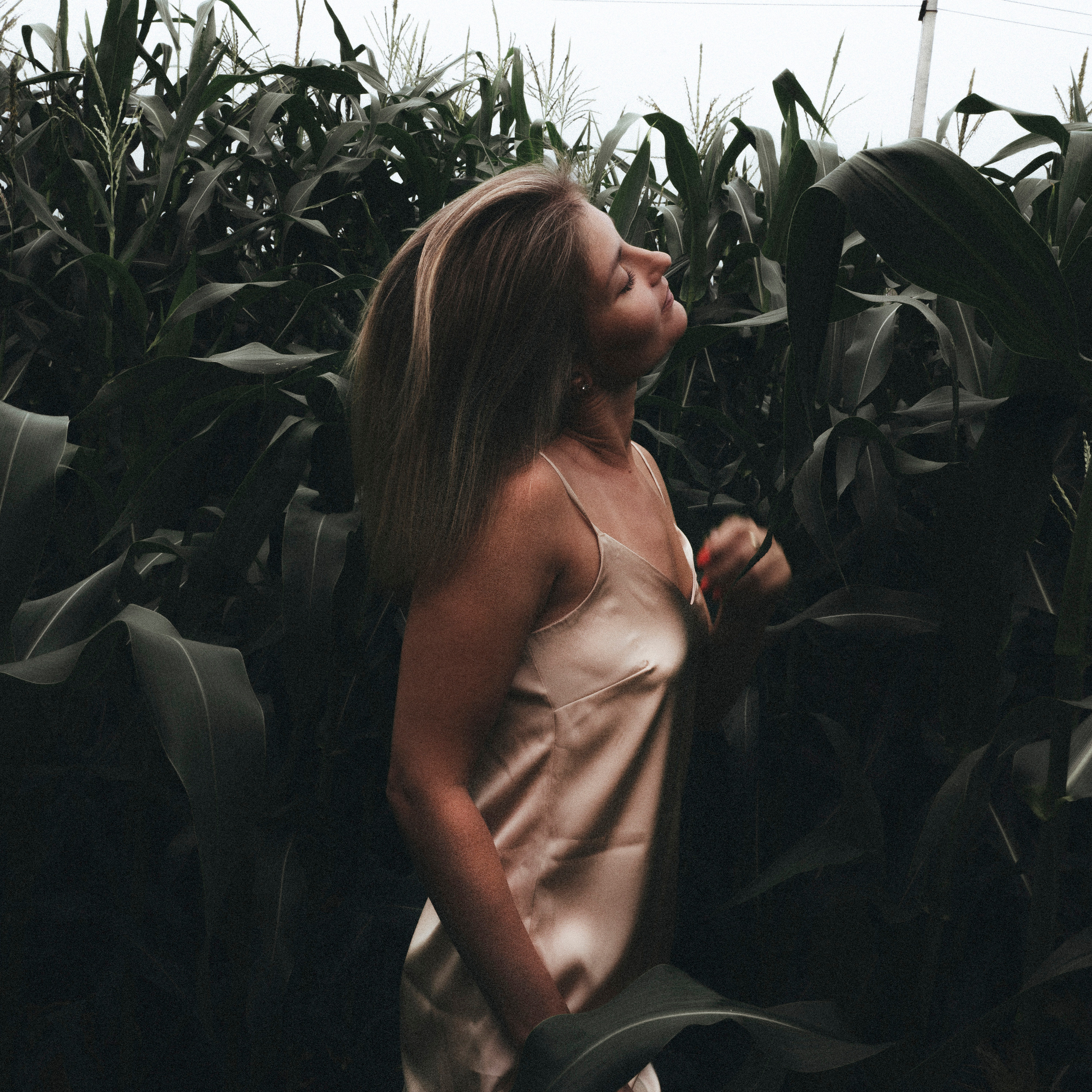 А Н А С Т А С И Я