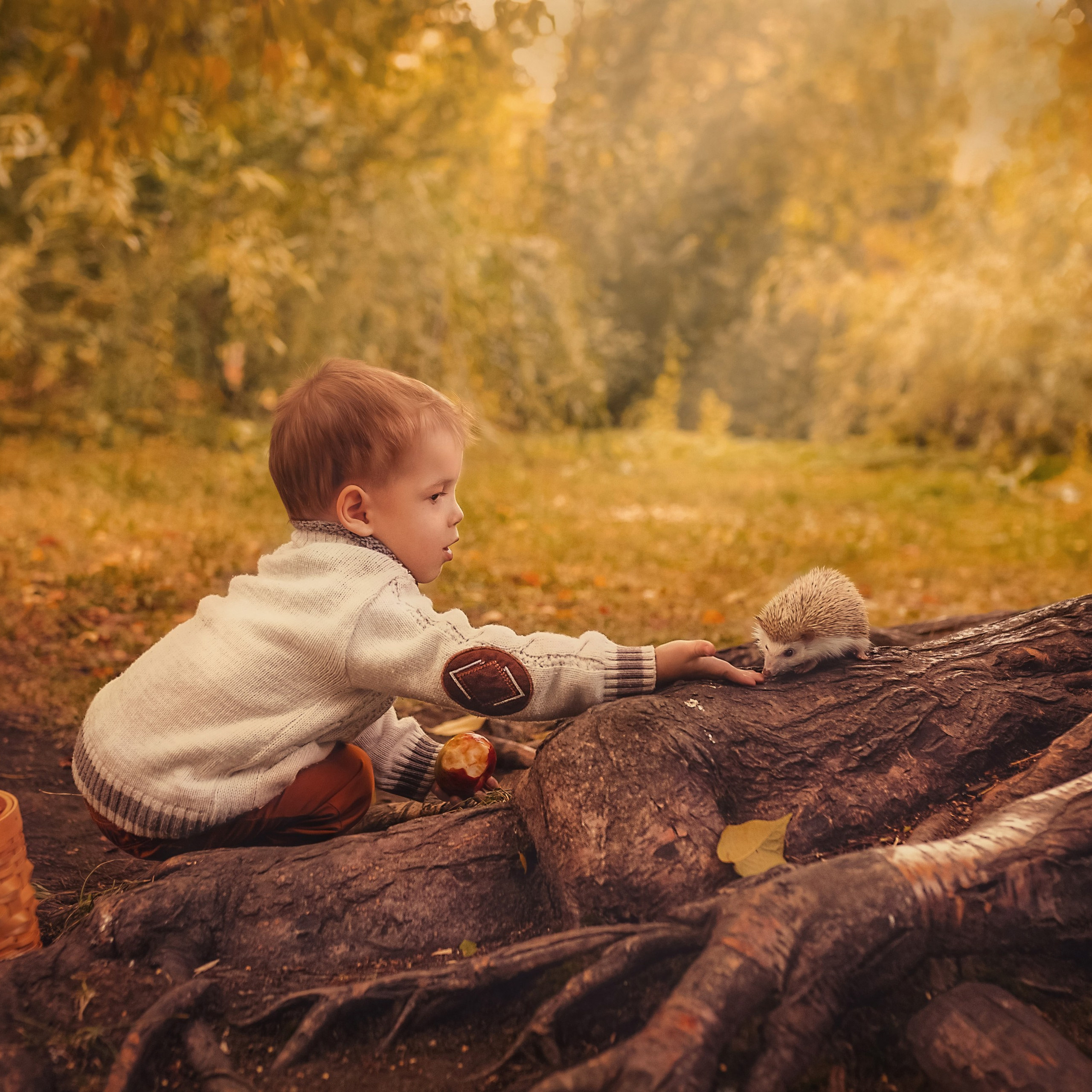 Дети и животные