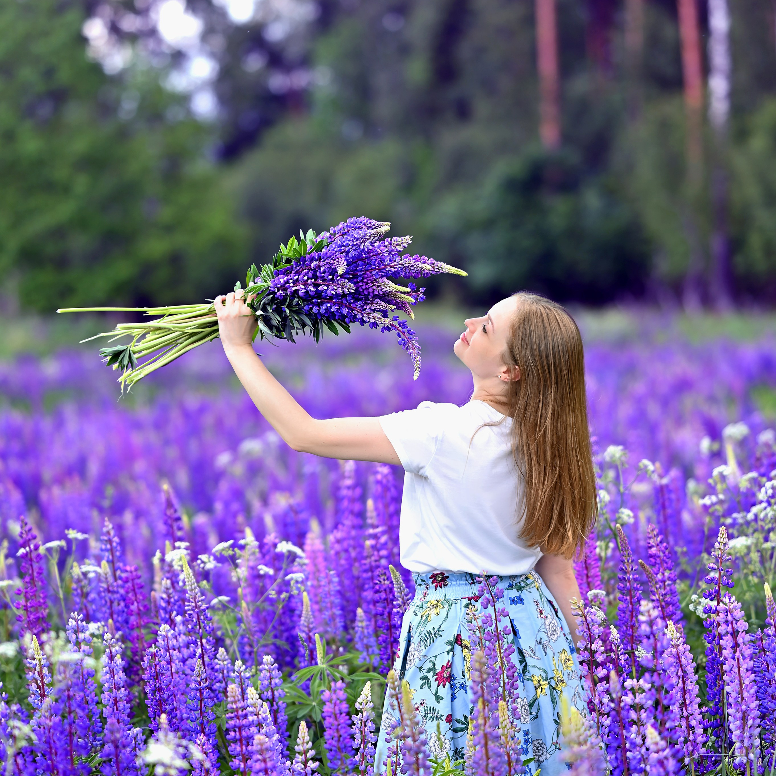 Анна и люпины