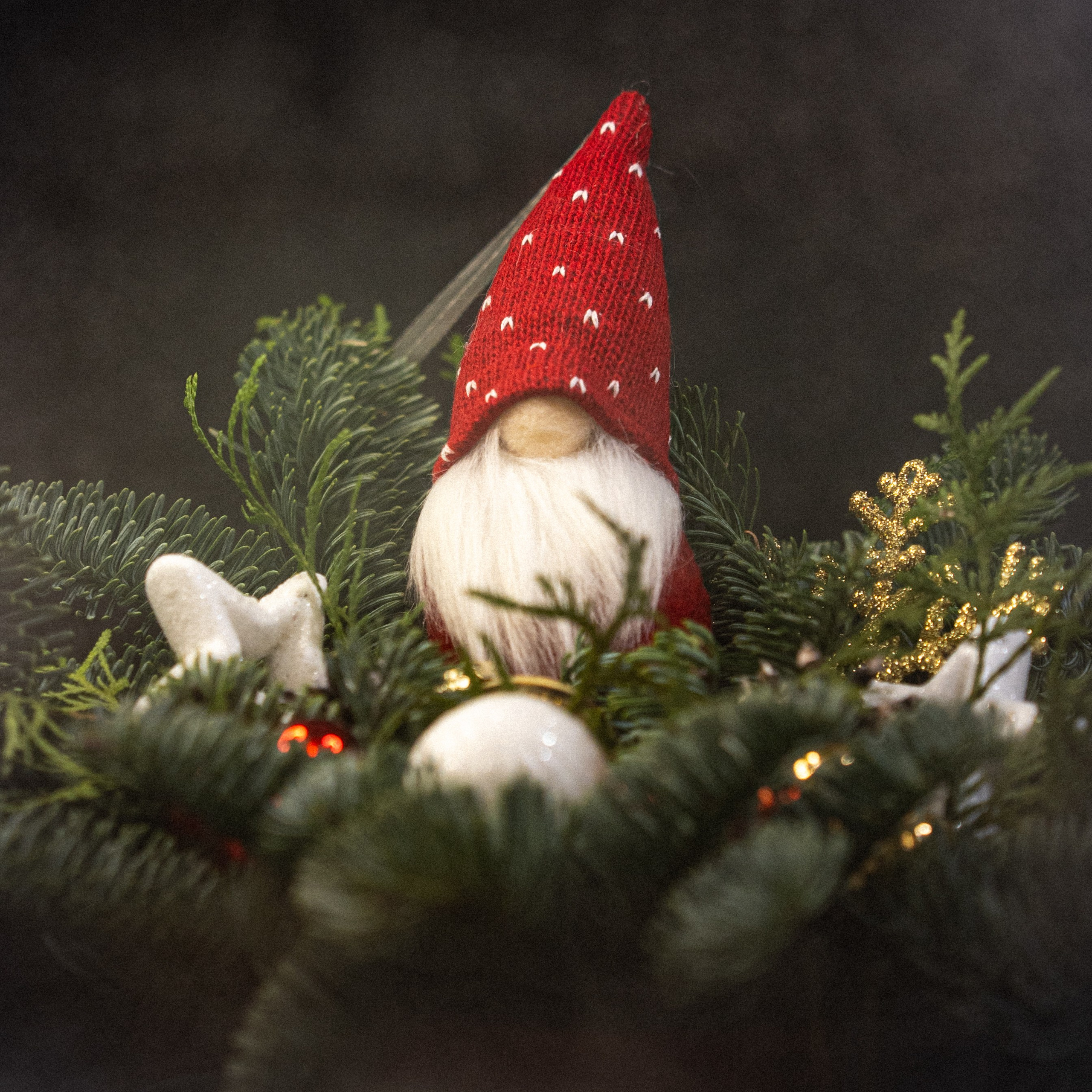 Отзывы. Кошенкова Мария: портретный и репортажный фотограф. Санкт-Петербург