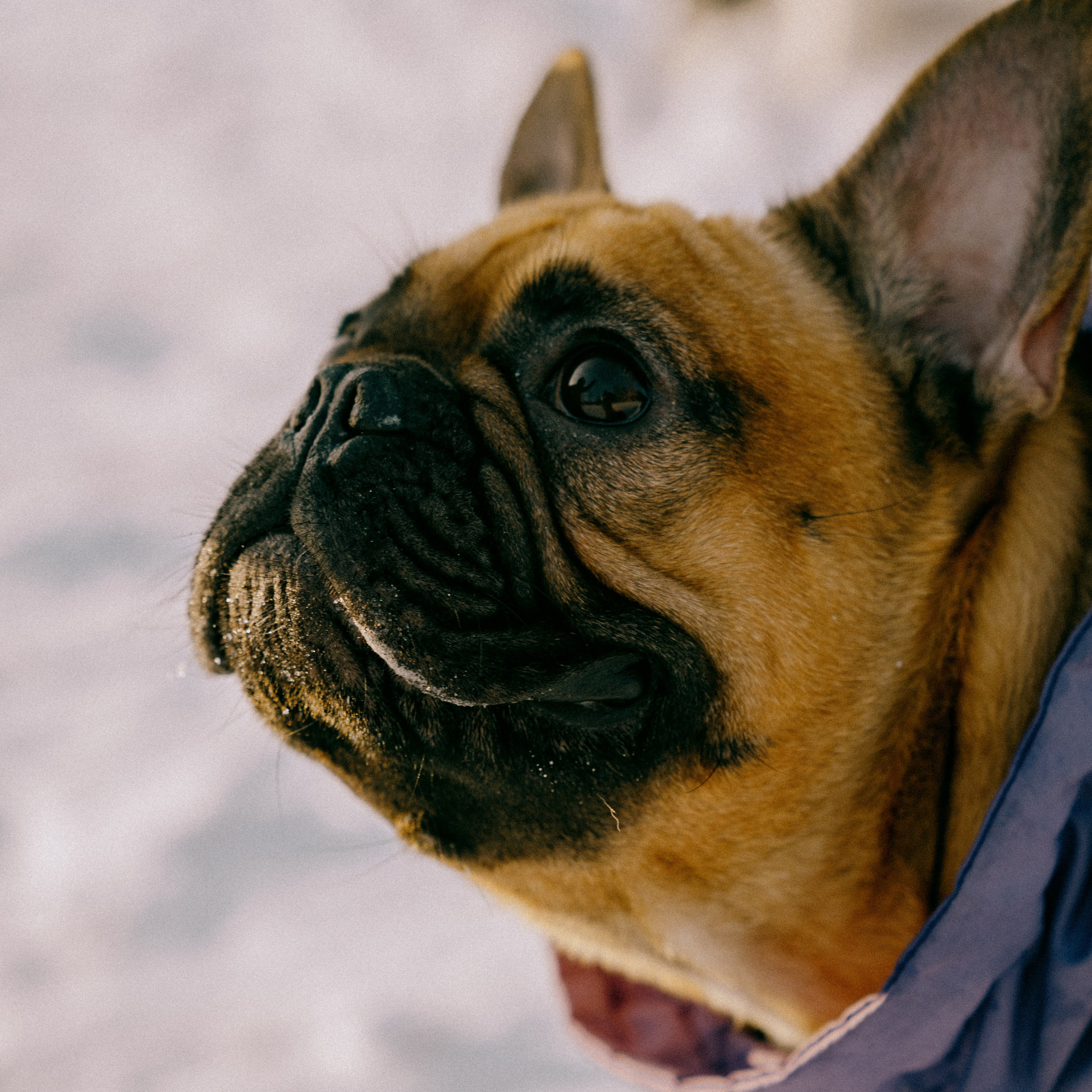 Отзывы. Кошенкова Мария: портретный и репортажный фотограф. Санкт-Петербург