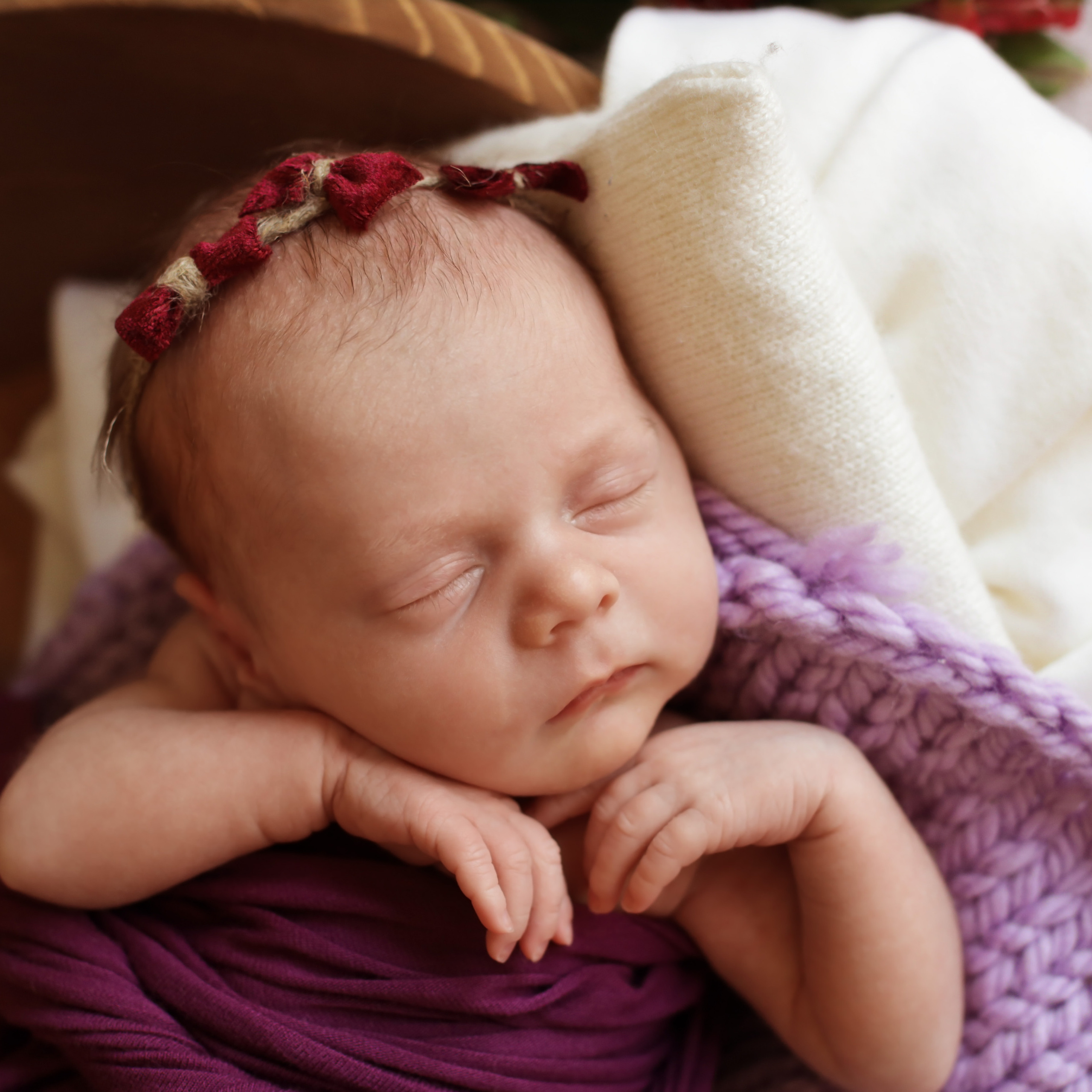 Аксиния 14 дней