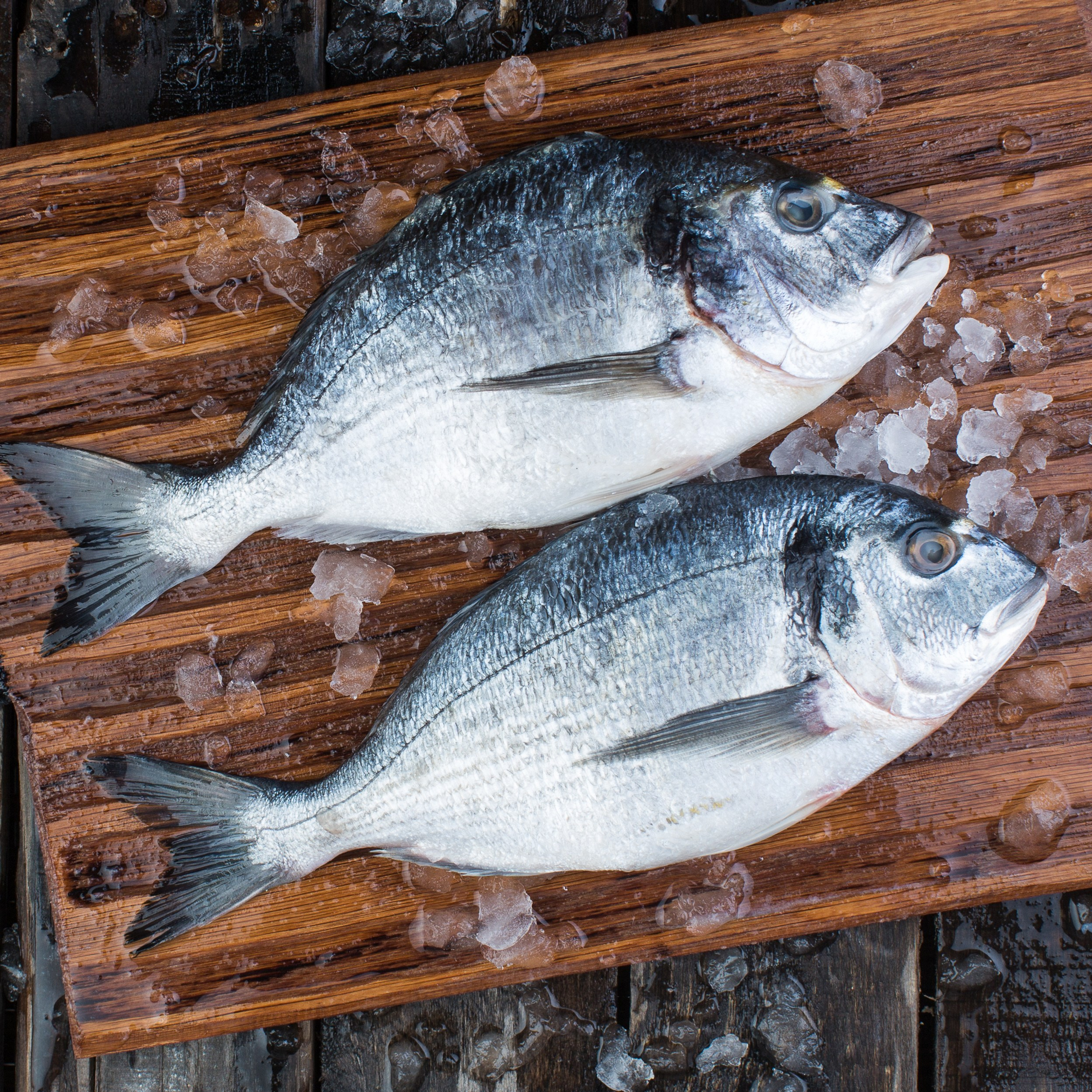 Каталоги продуктов