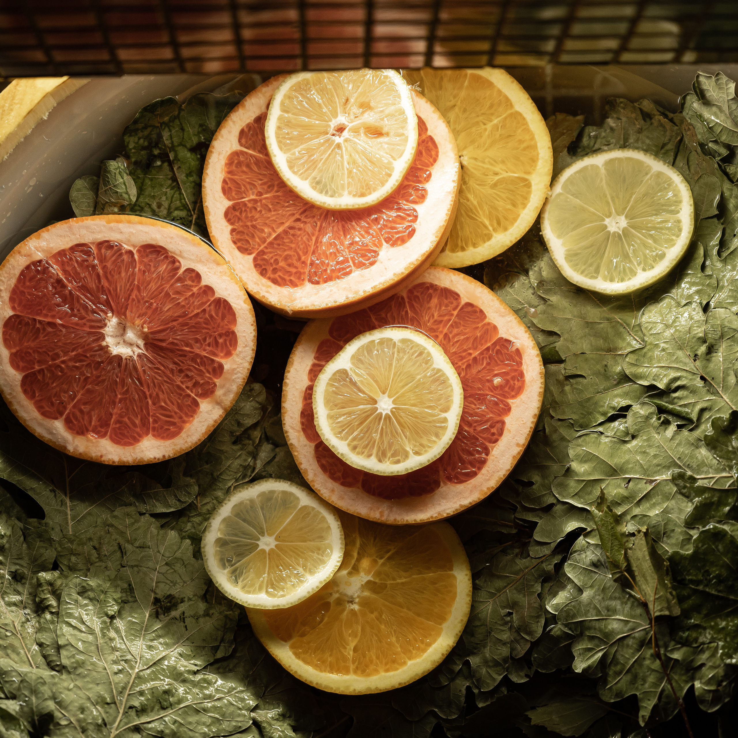 Отзывы. Катерина Дрюкова фотограф/видеограф