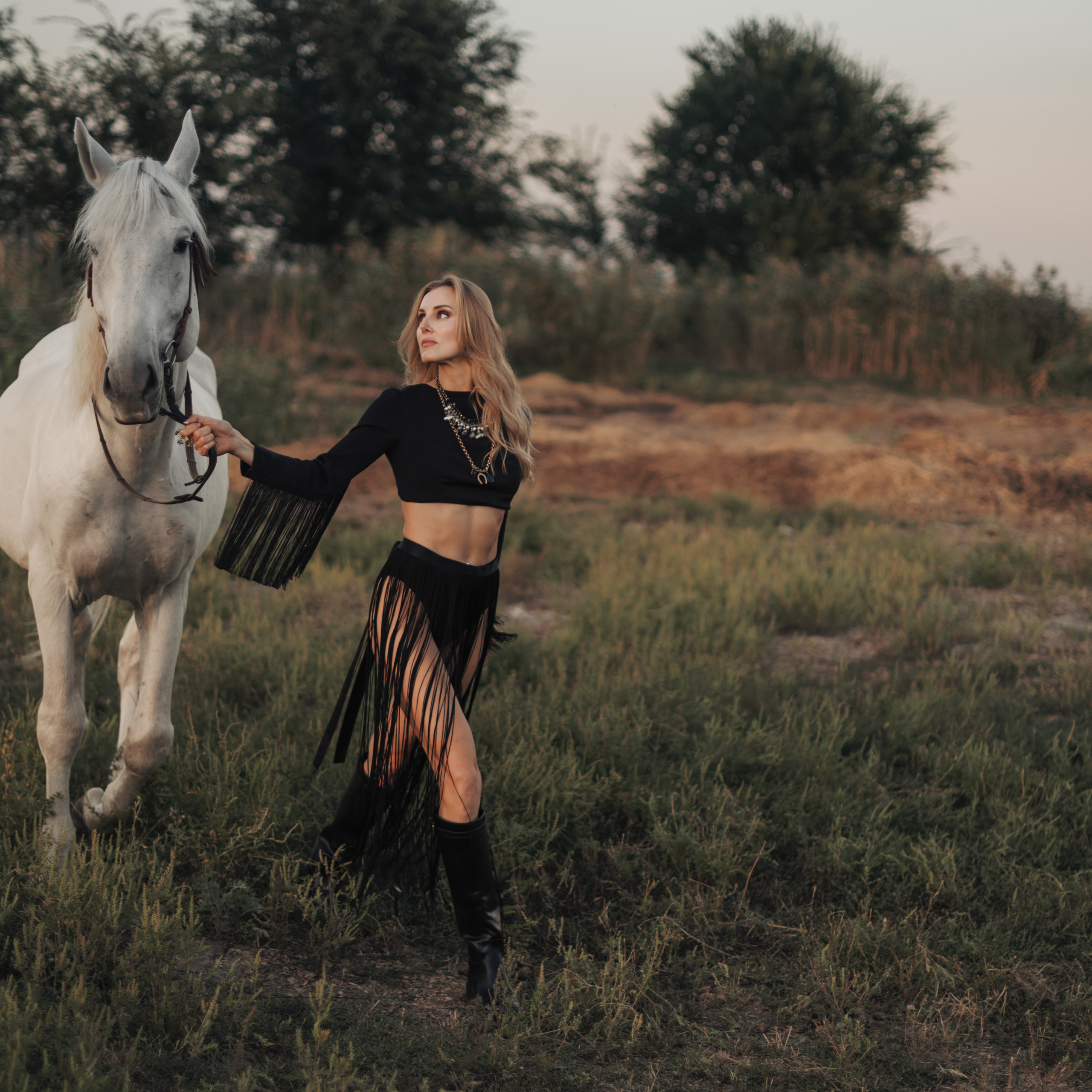 Три образа на конюшне