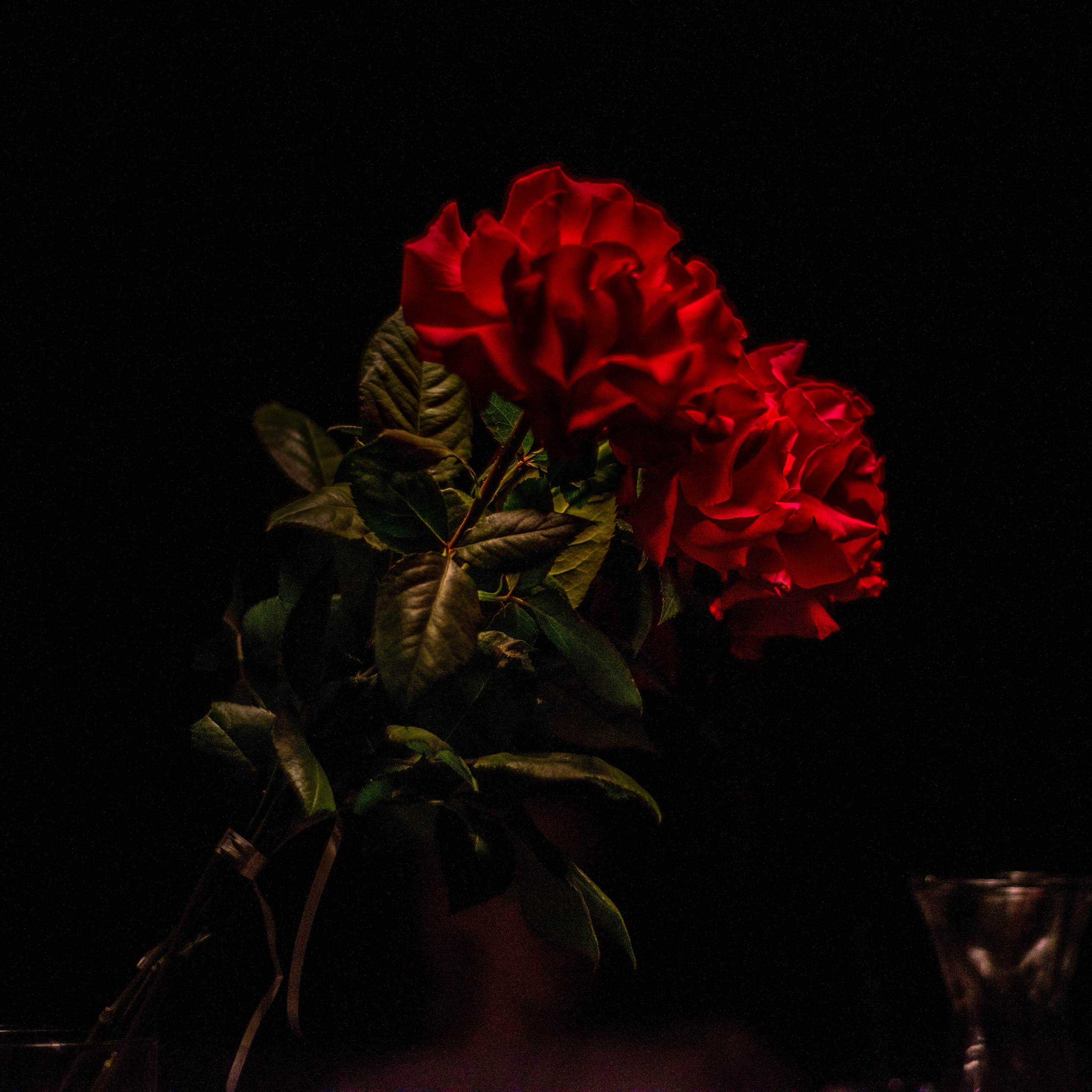 Отзывы. Семейный и детский фотограф в Королеве, Москве и Московской области Строева Анастасия